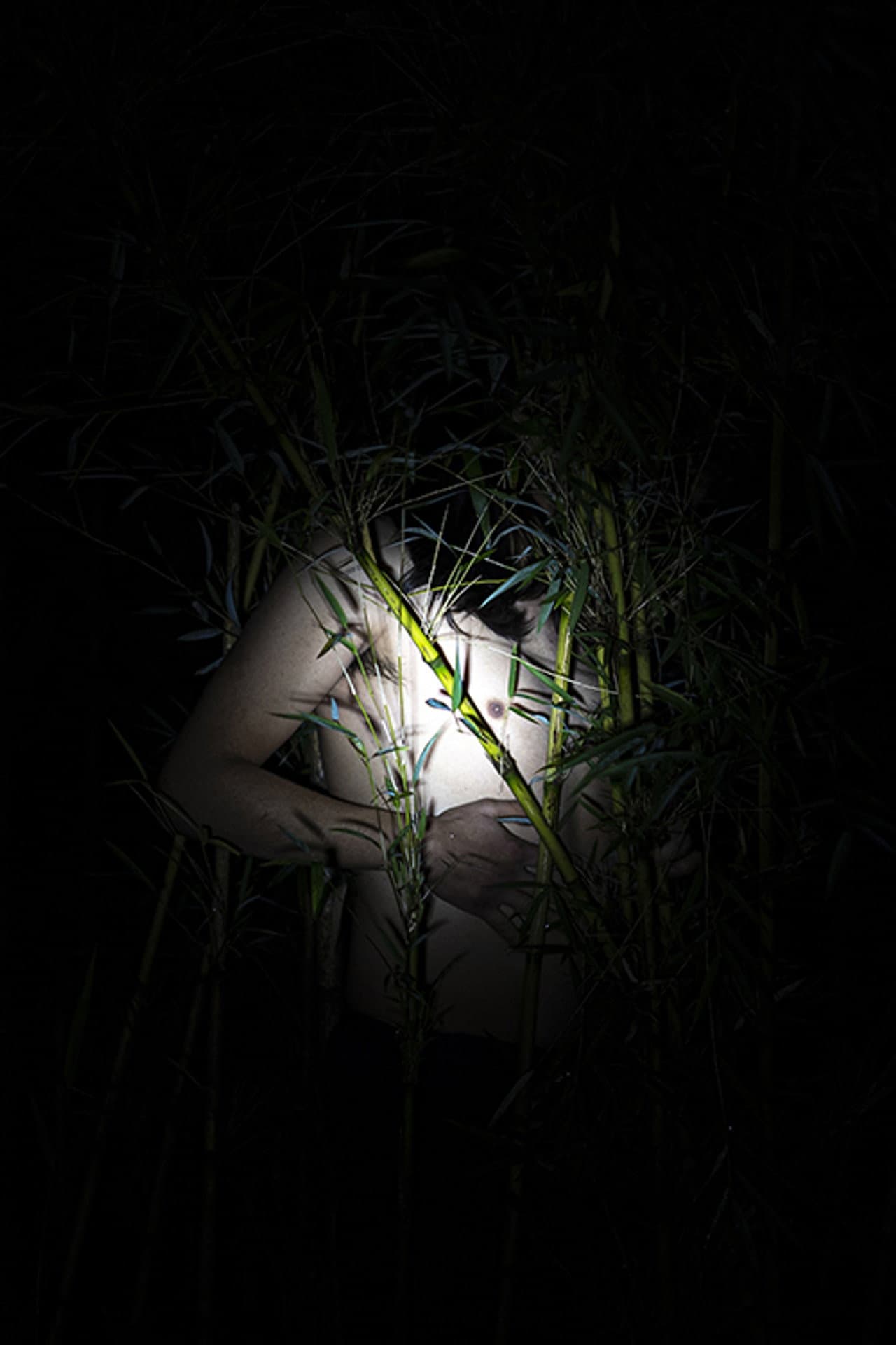 Las quilas preview 1