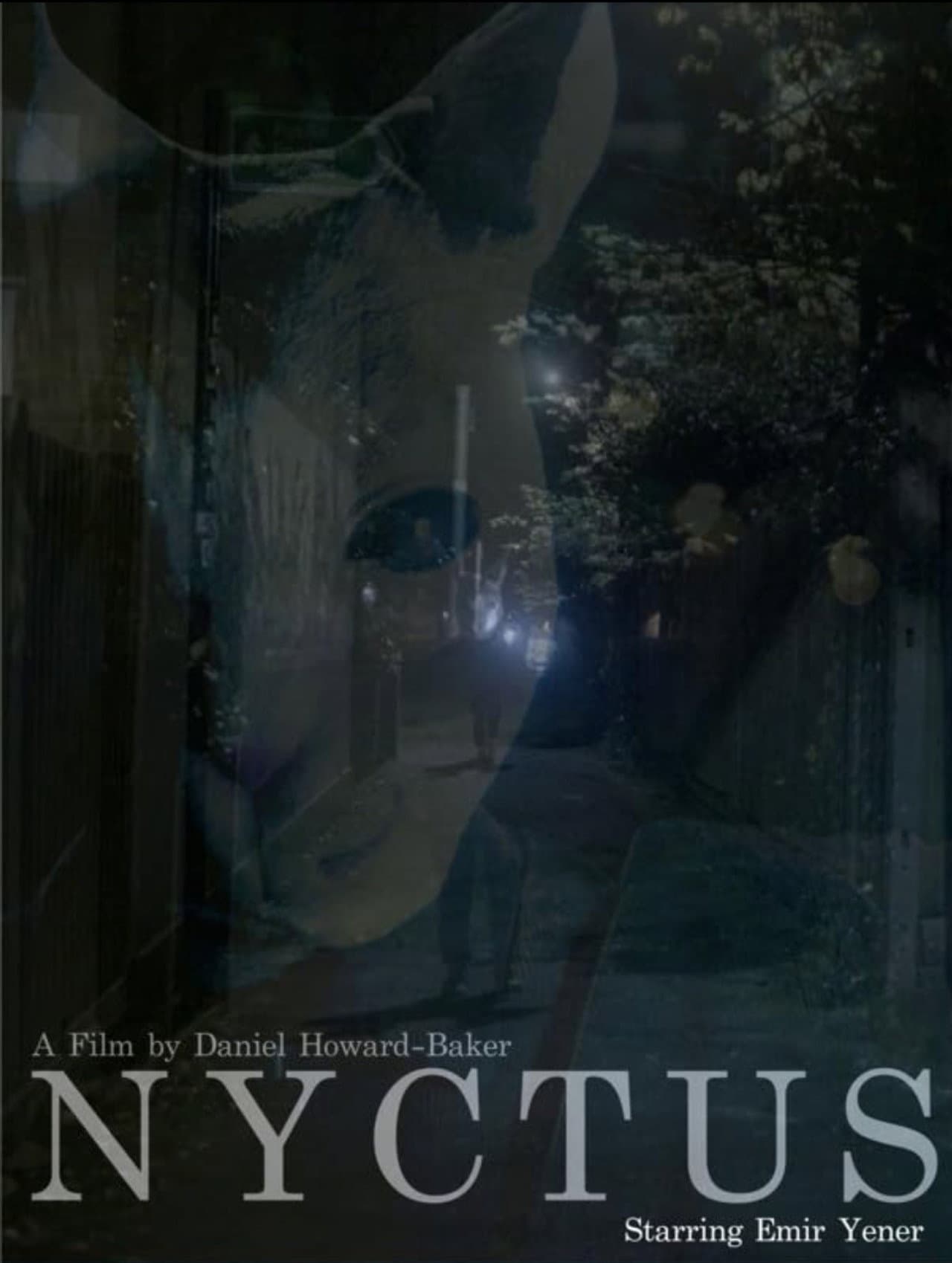 Nyctus preview 1