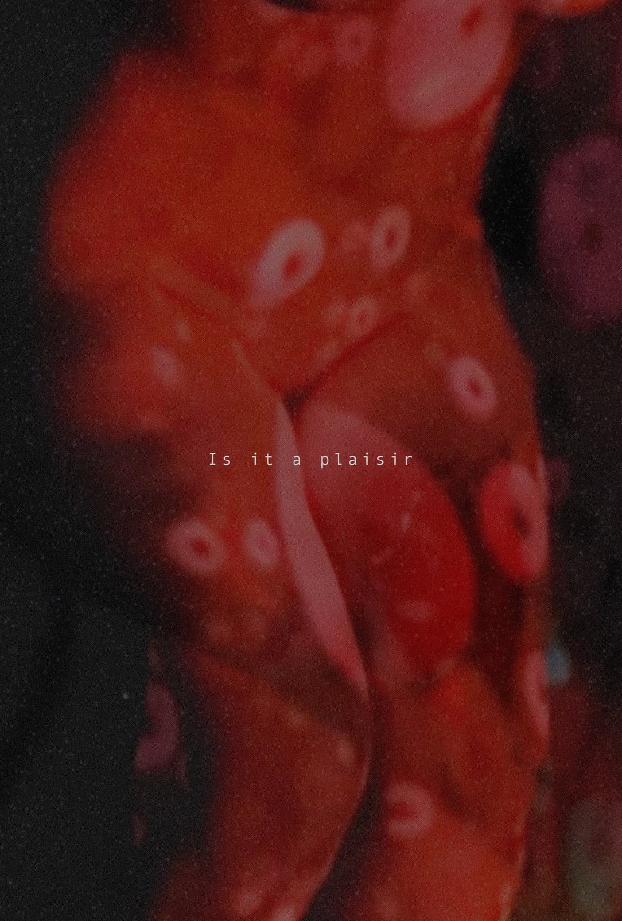 Is It A Plaisir preview 2