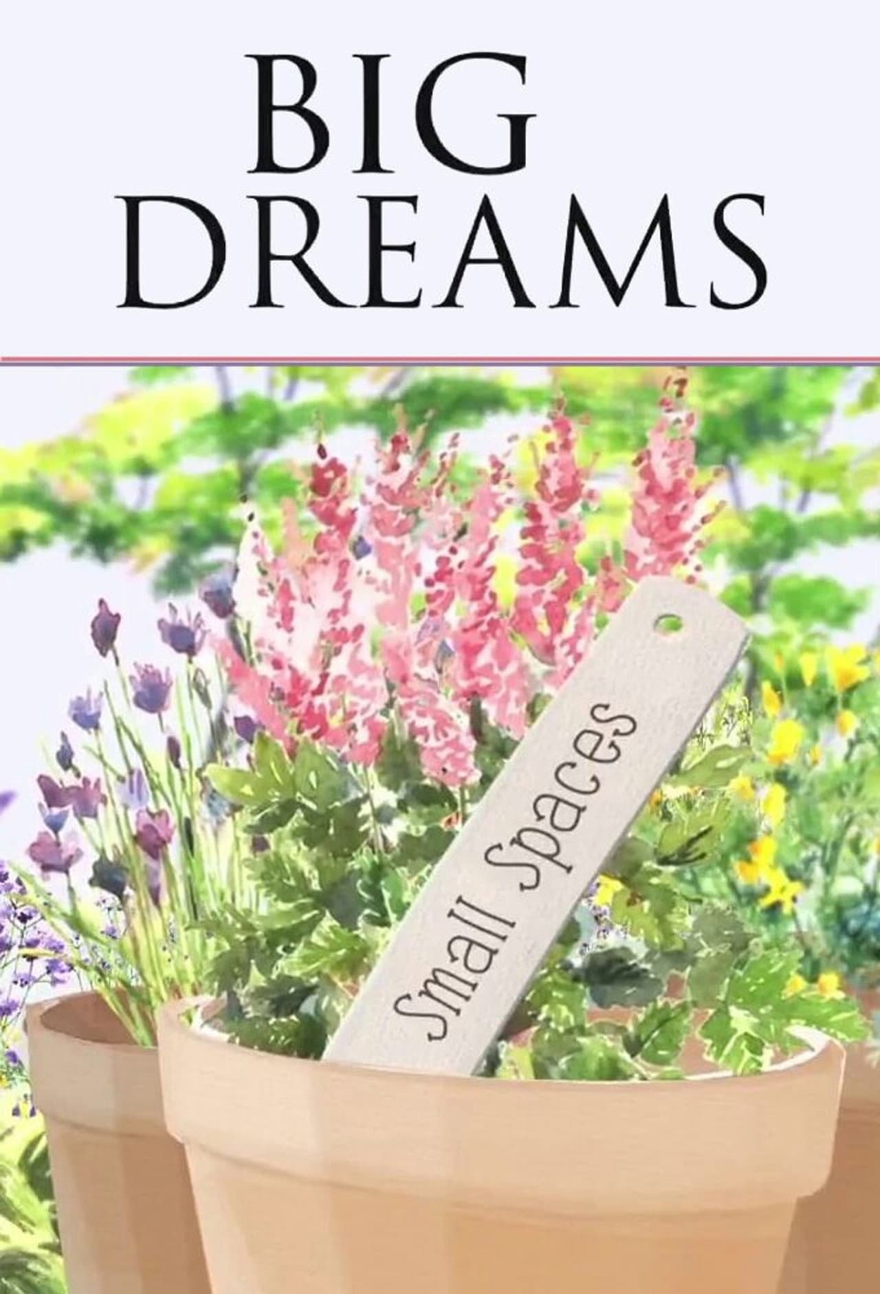 Big Dreams Small Spaces preview 2