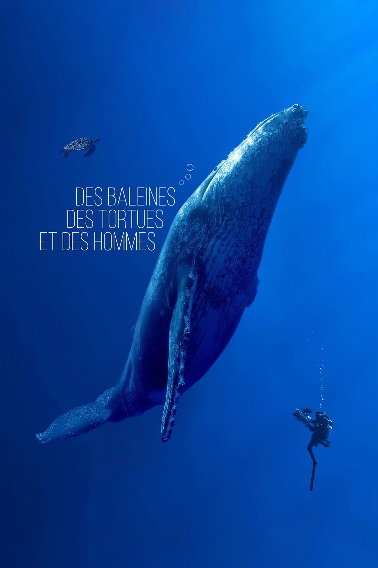 Des baleines, des tortues et des hommes preview 2