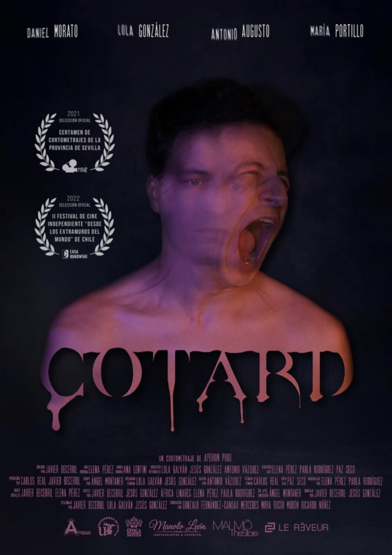 Cotard preview 2