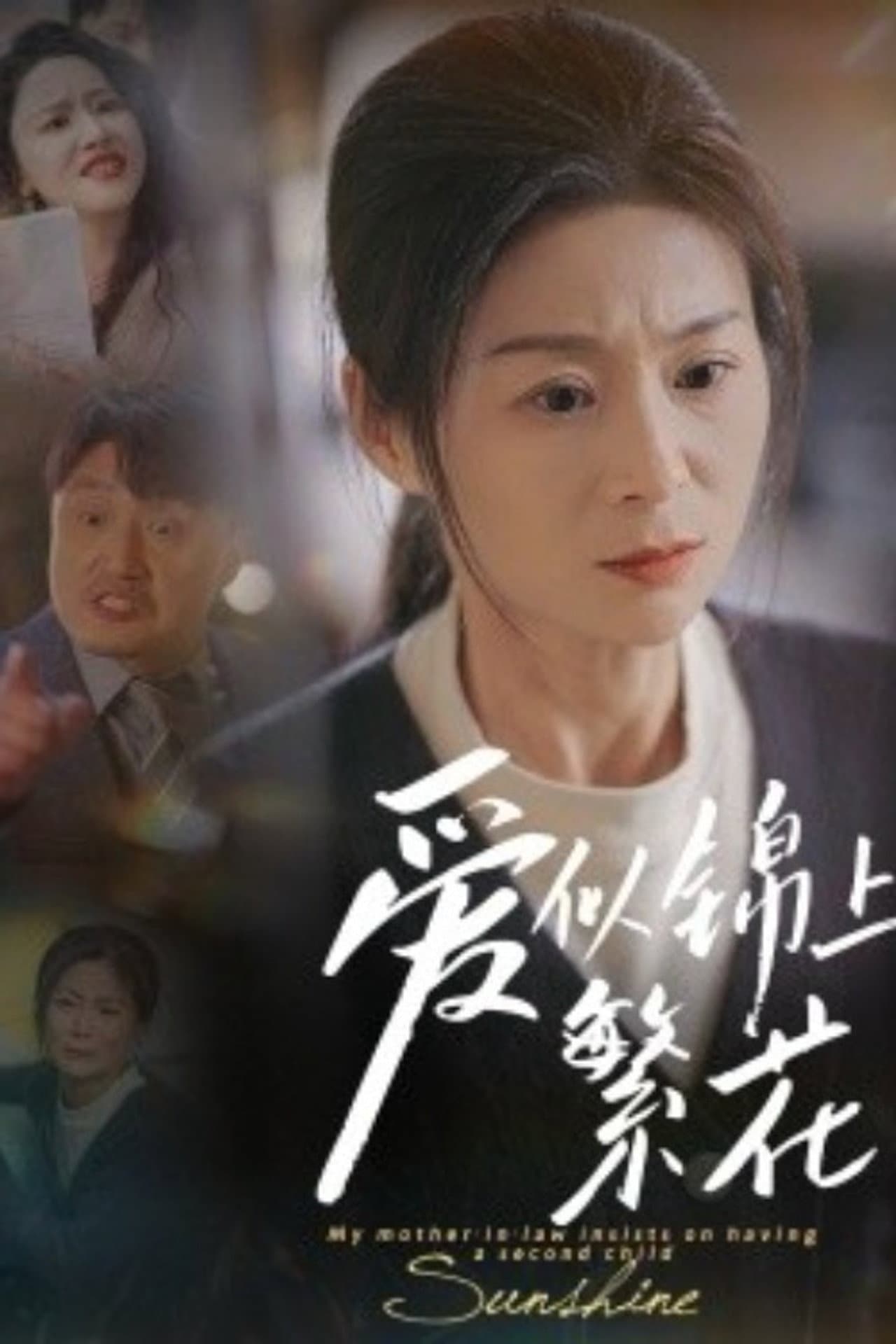爱似锦上繁花 preview 1