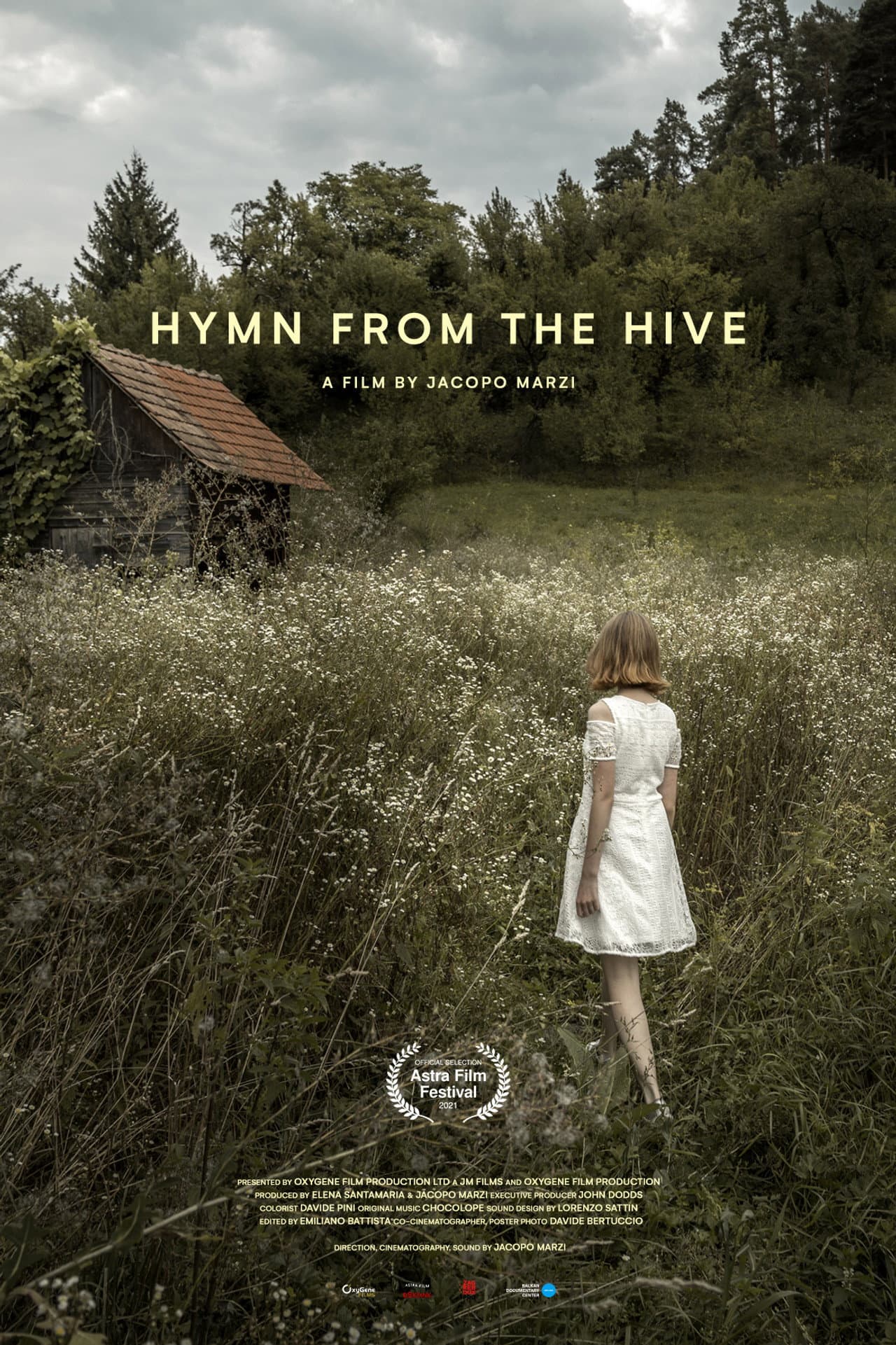 Hymn from the Hive preview 2