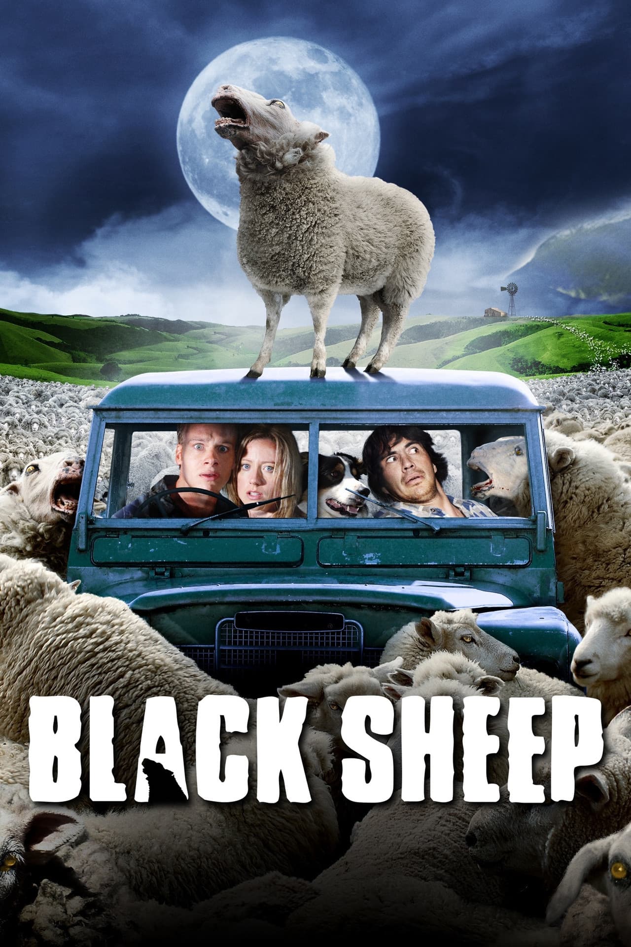 Black Sheep preview 2