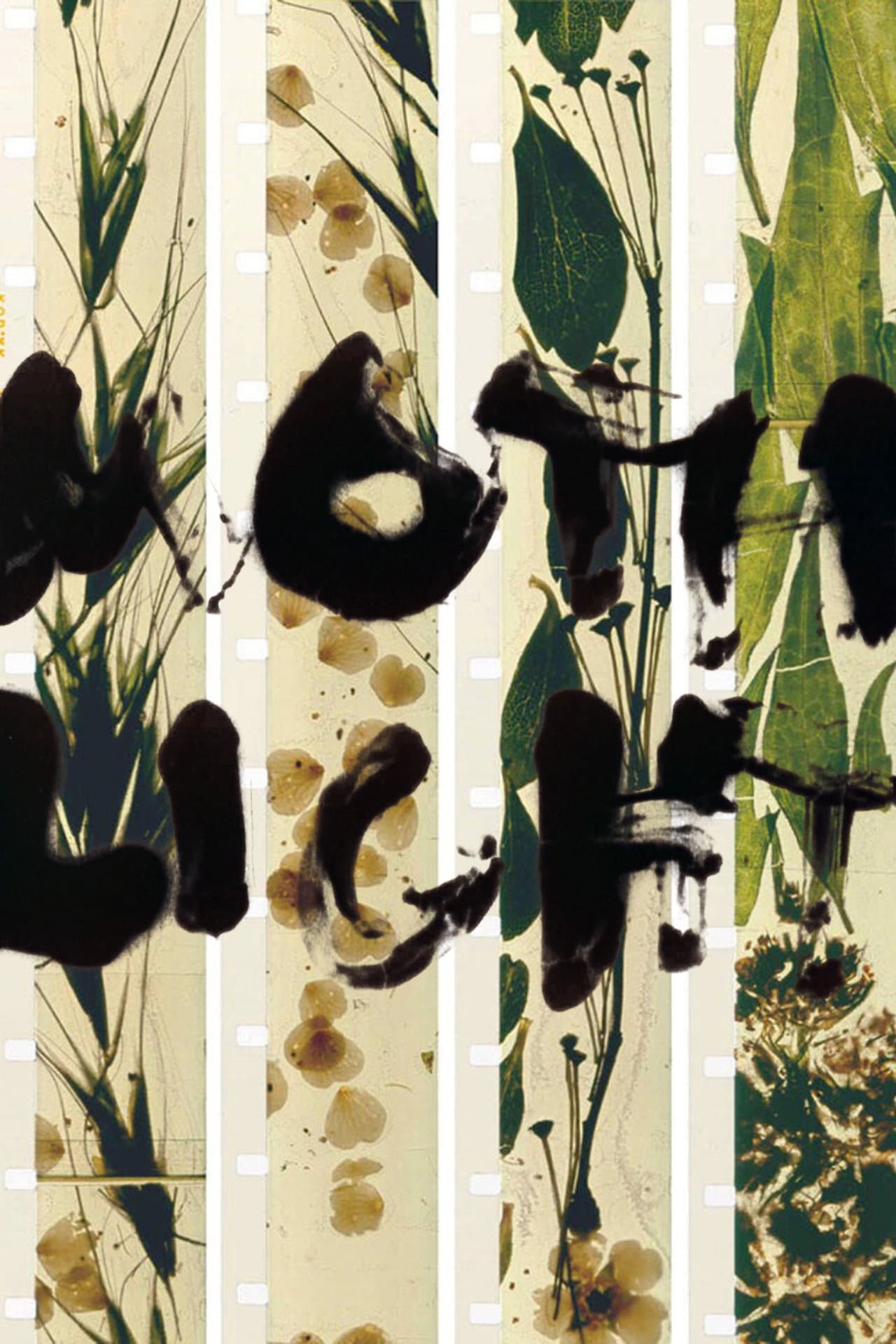 Mothlight preview 2