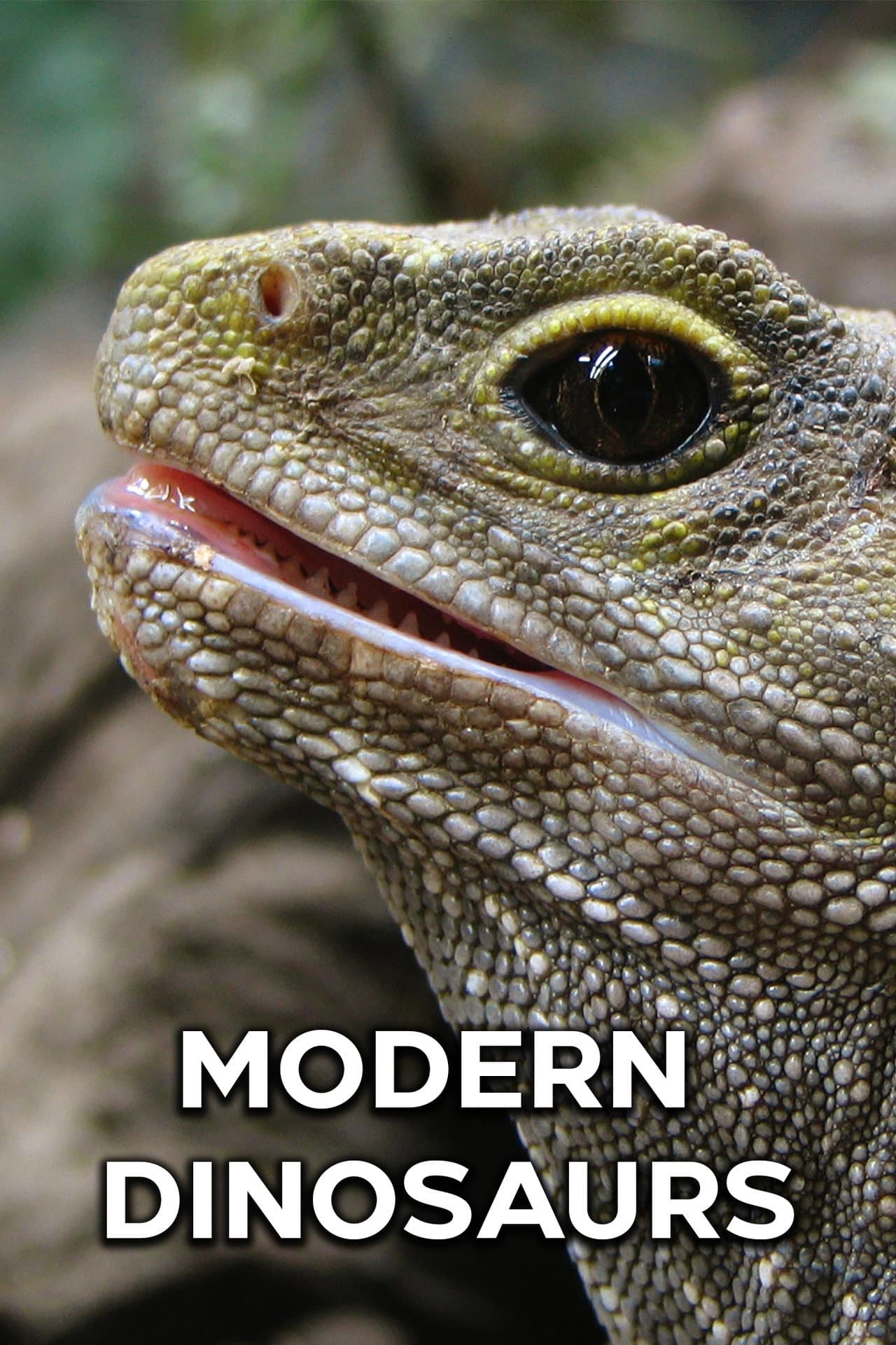 Modern Dinosaurs preview 2