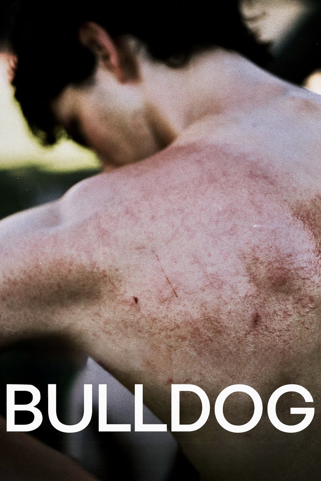 Bulldog preview 2