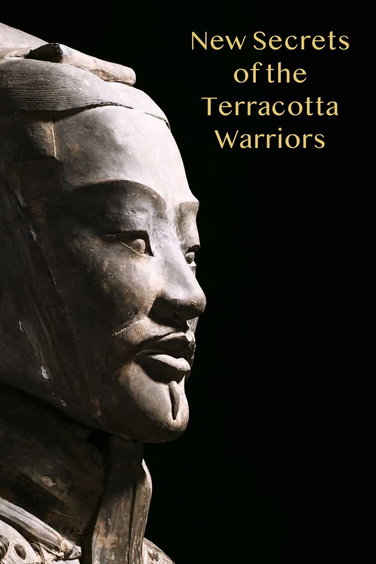 New Secrets of the Terracotta Warriors preview 2