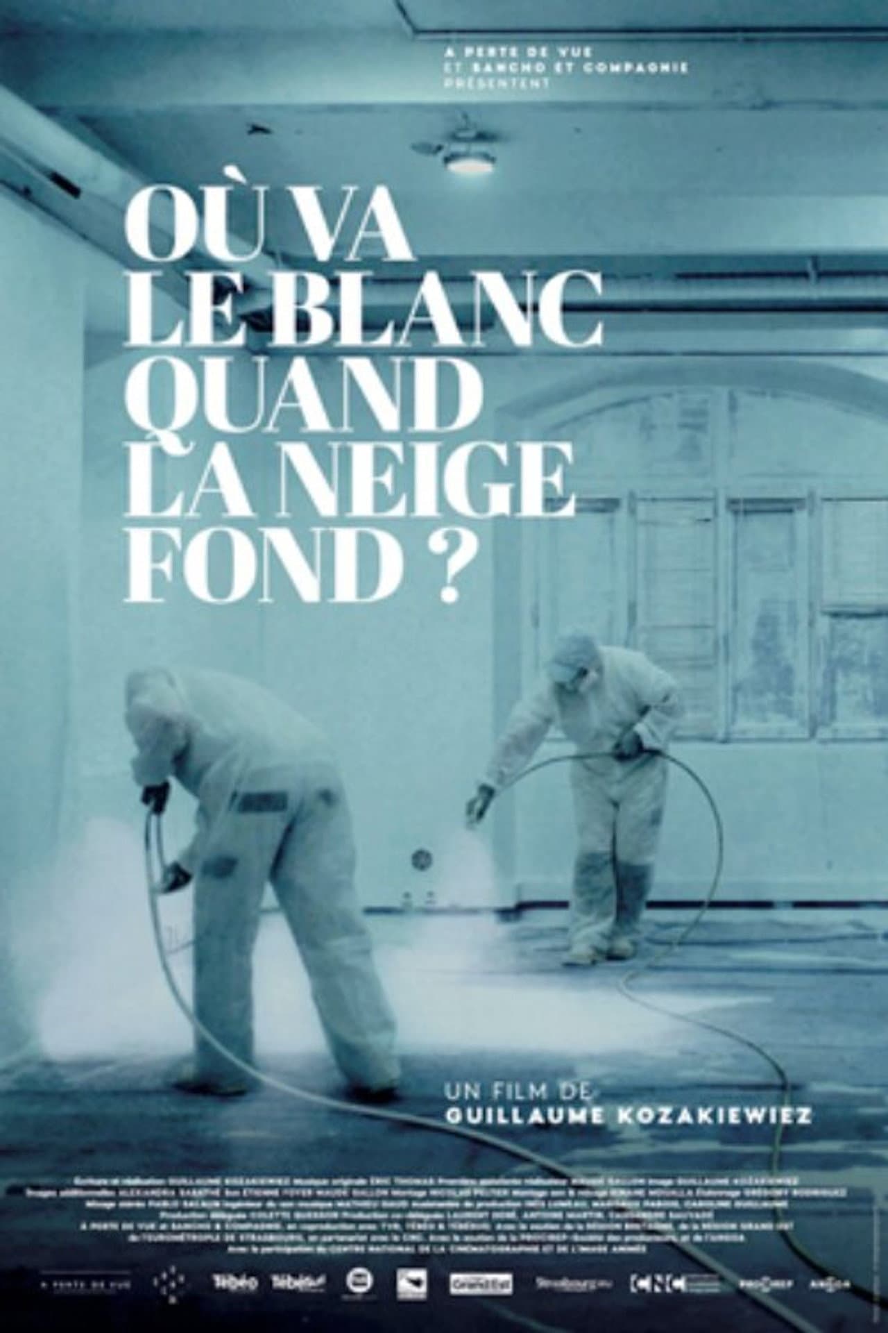 Où va le blanc quand la neige fond preview 1