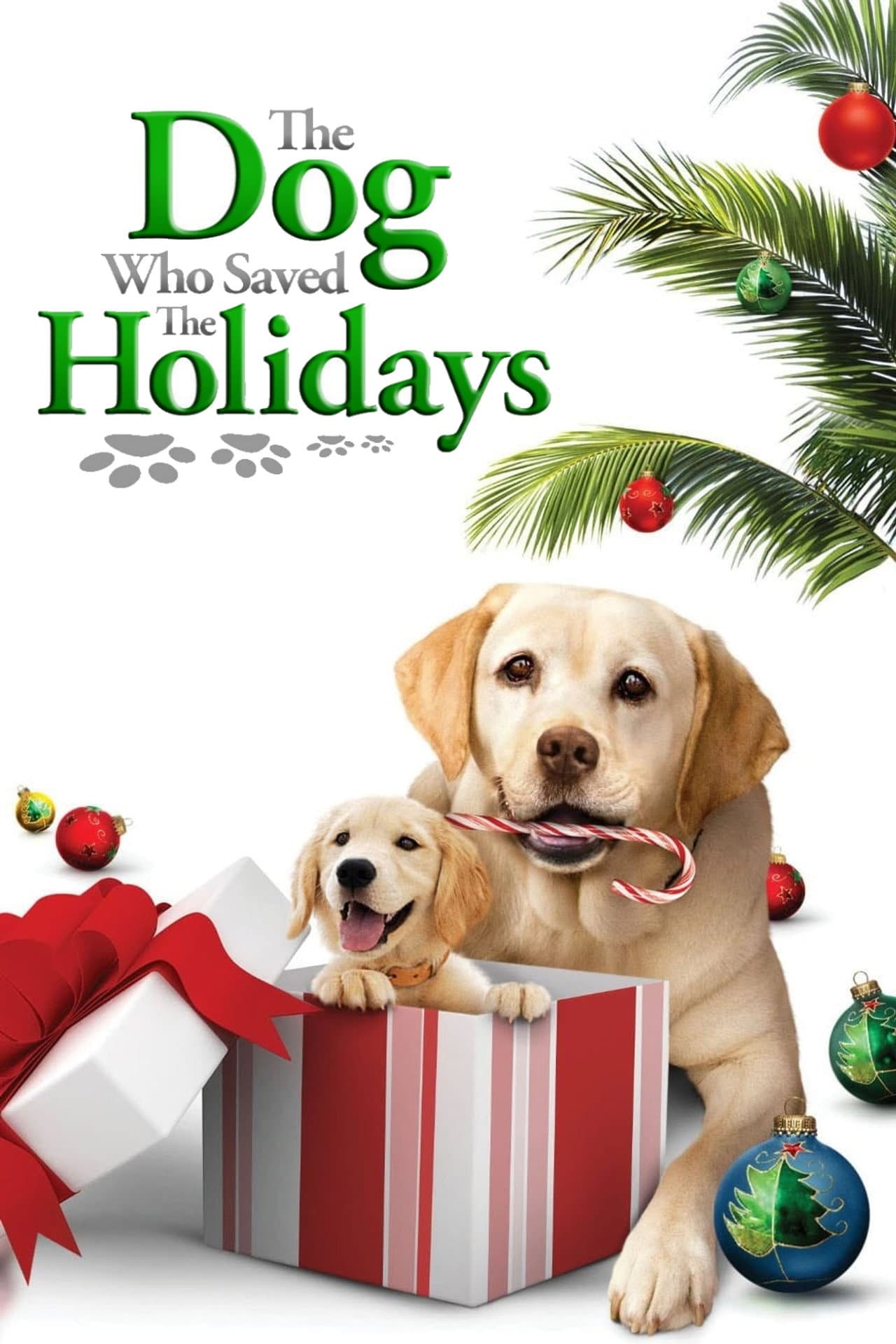 The Dog Who Saved the Holidays preview 2
