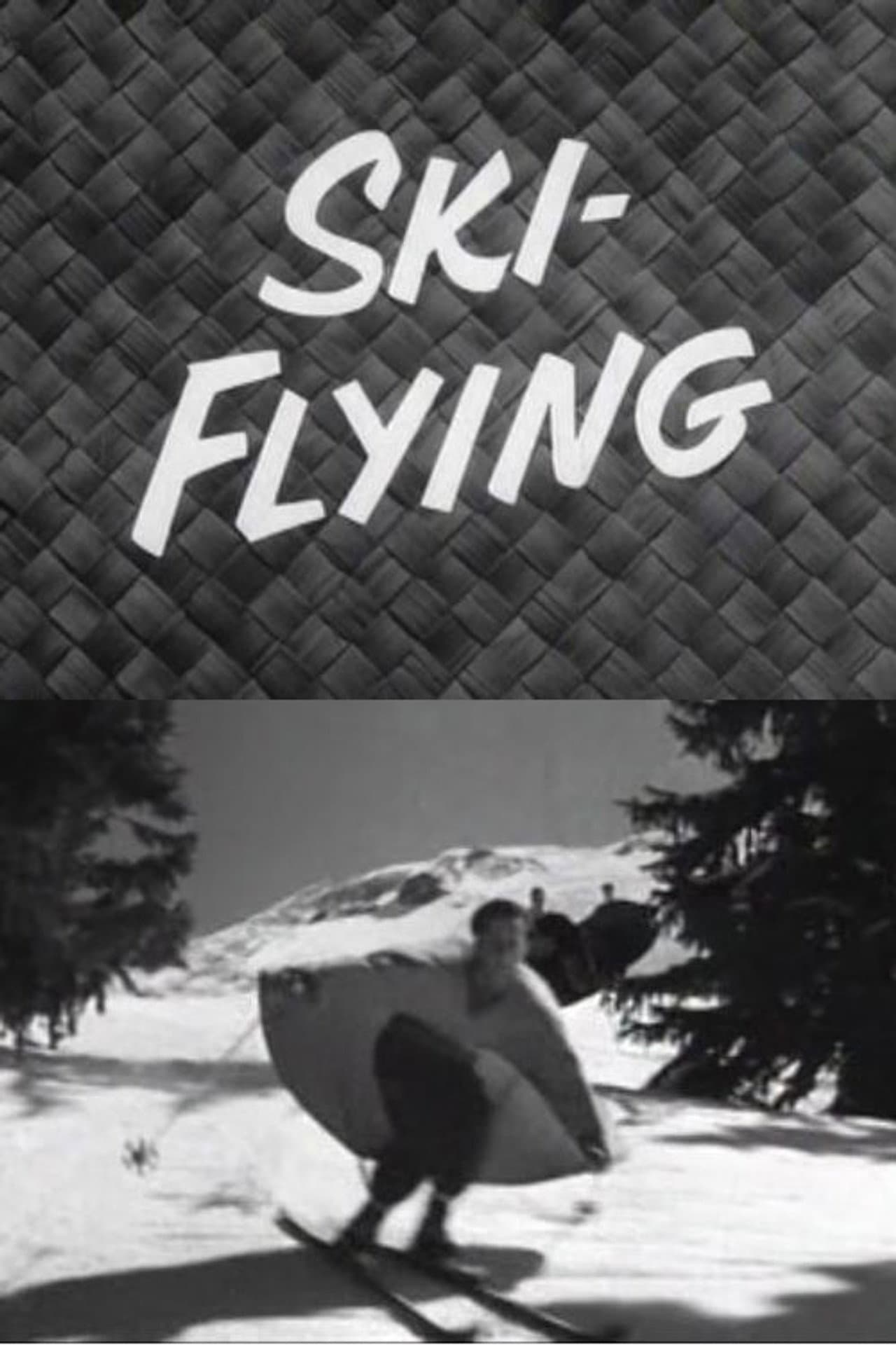 Ski-Flying preview 1