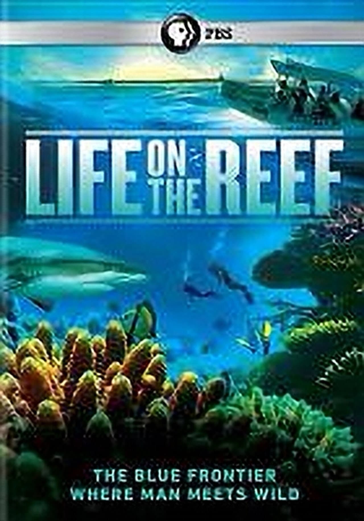 Life on the Reef preview 1