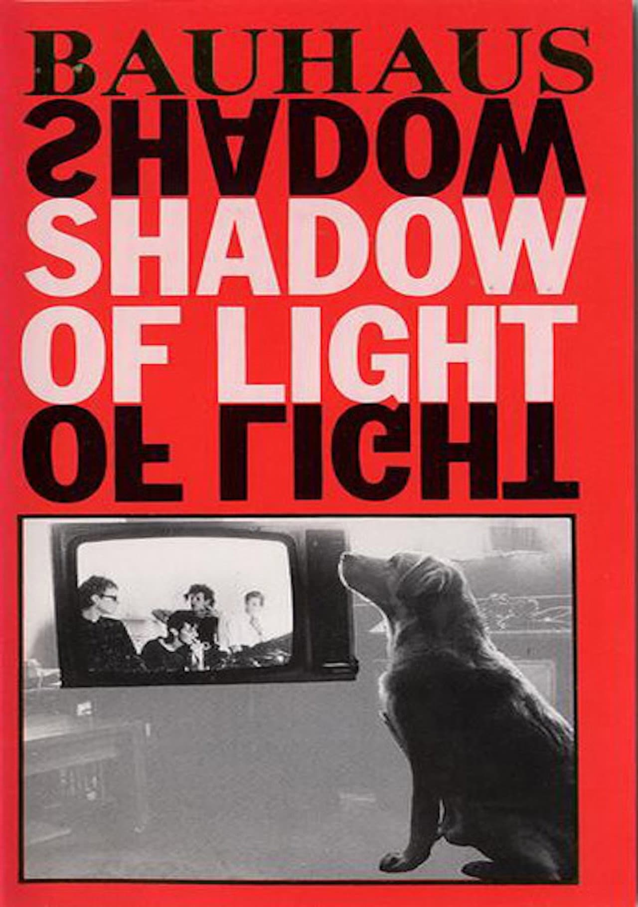 Bauhaus: Shadow of Light preview 2