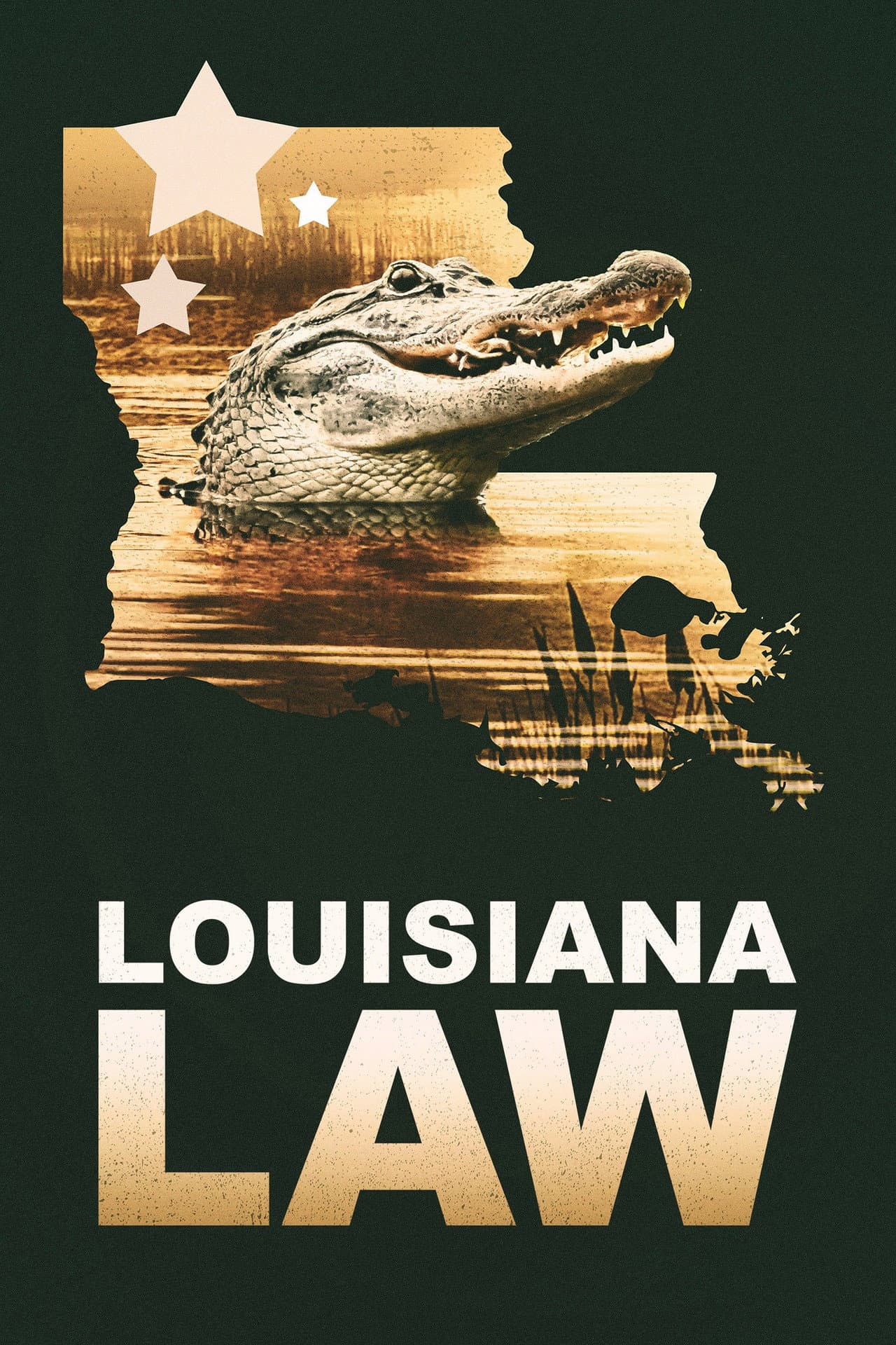 Louisiana Law preview 2