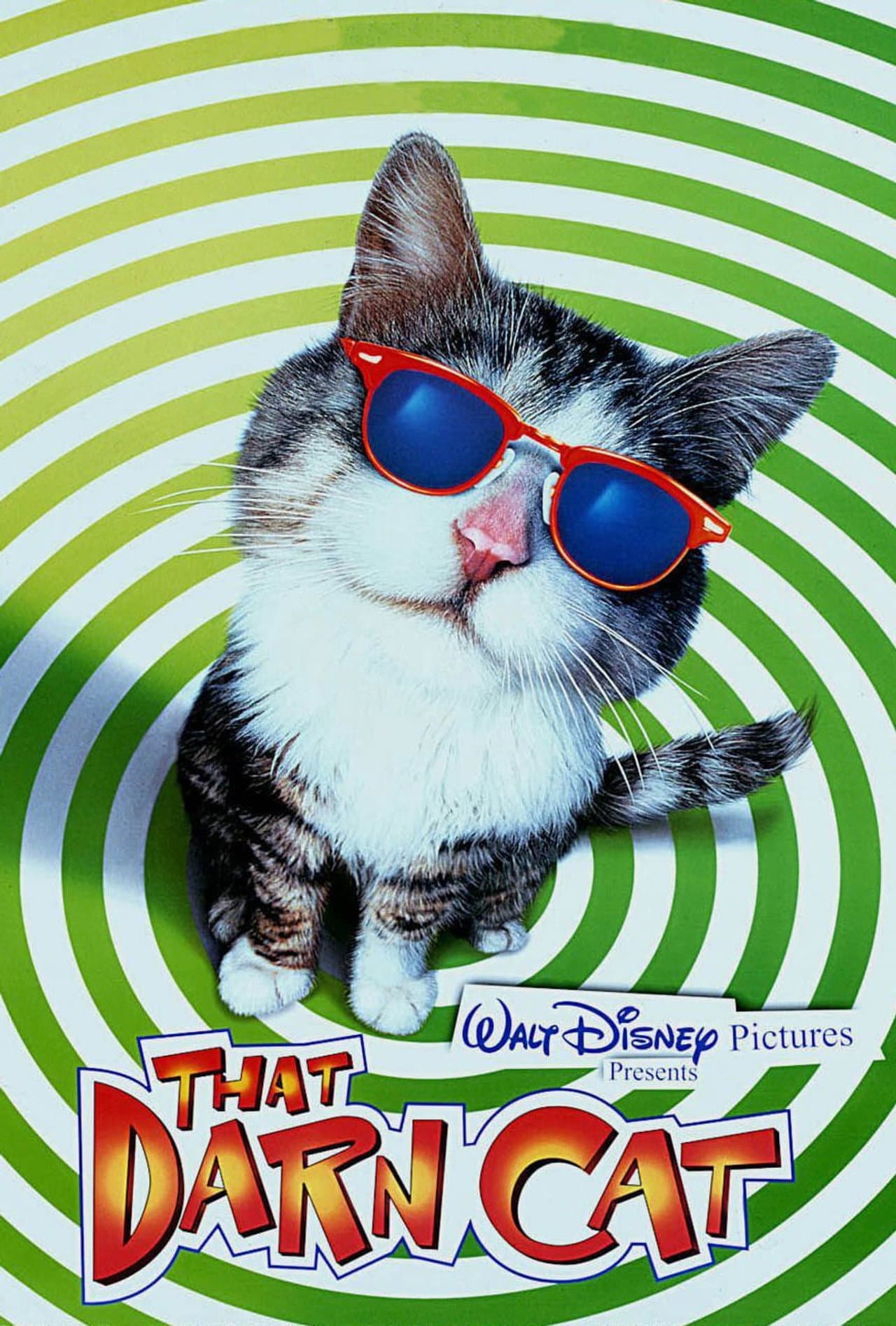 That Darn Cat preview 2