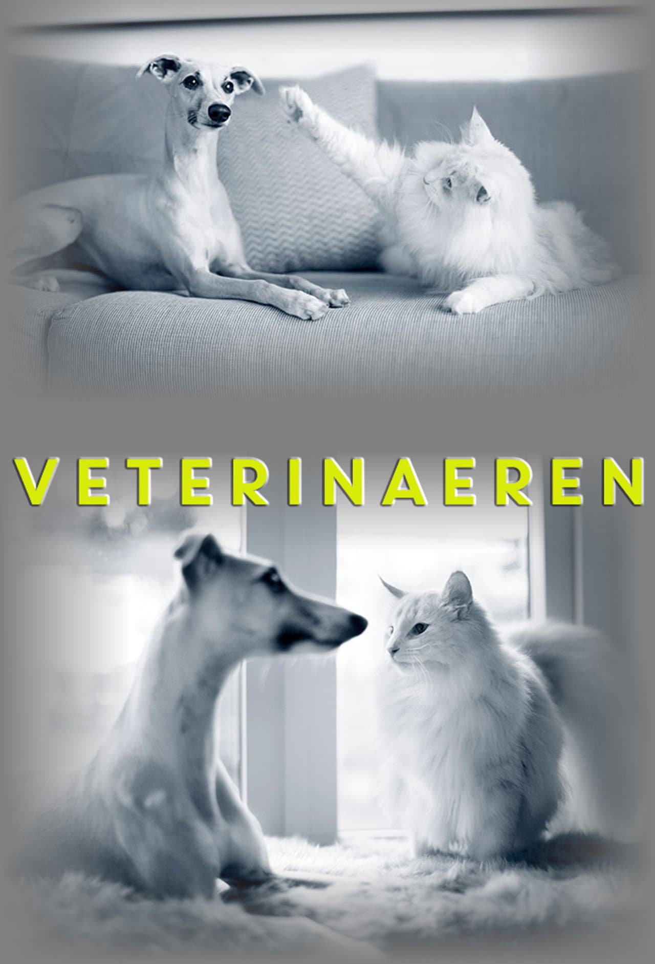 Veterinærene preview 2