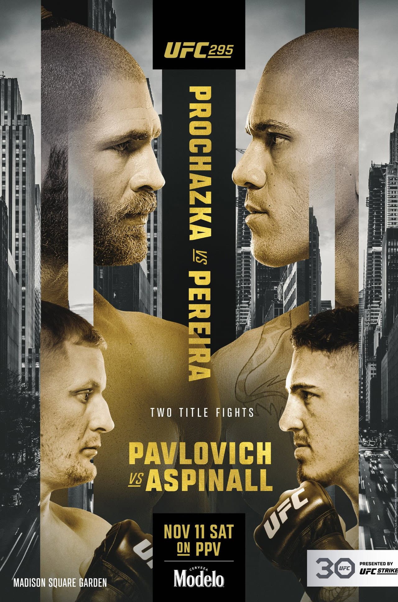 UFC 295: Prochazka vs. Pereira preview 2