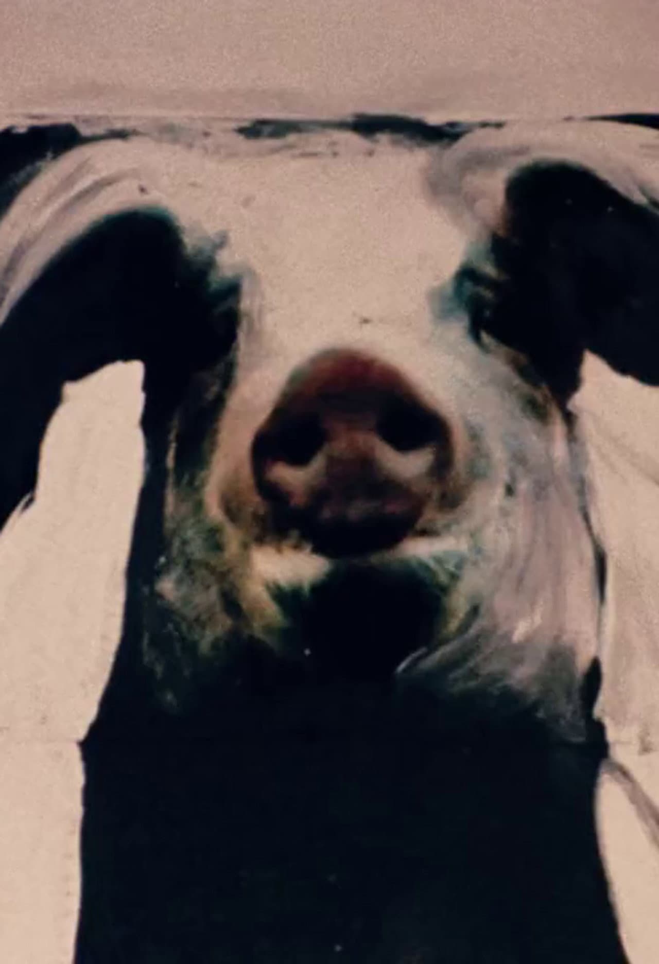 The Trail of the Pig preview 1