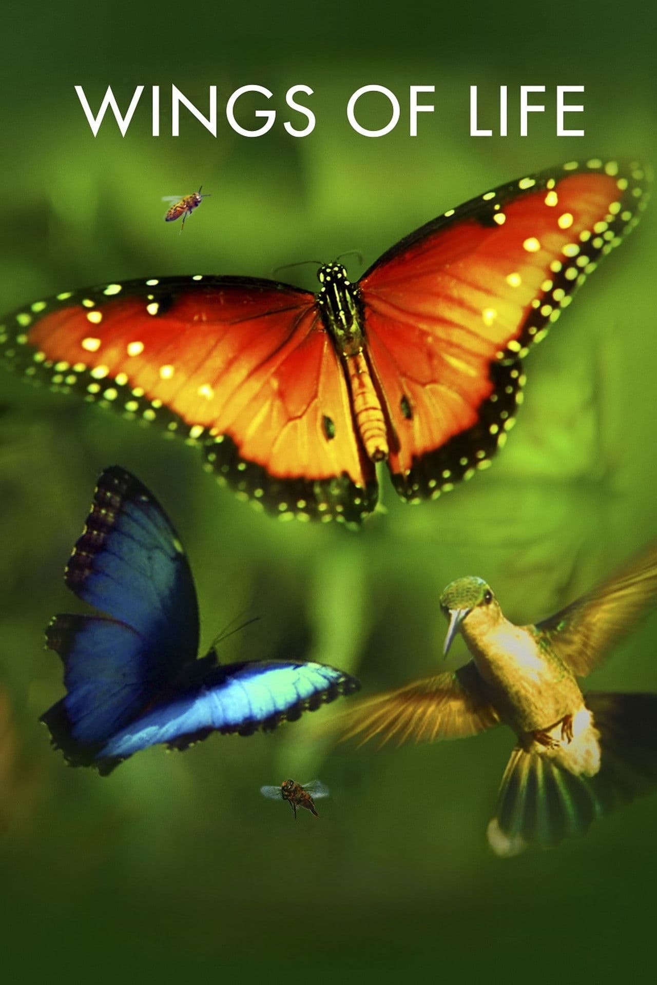 Wings of Life preview 2