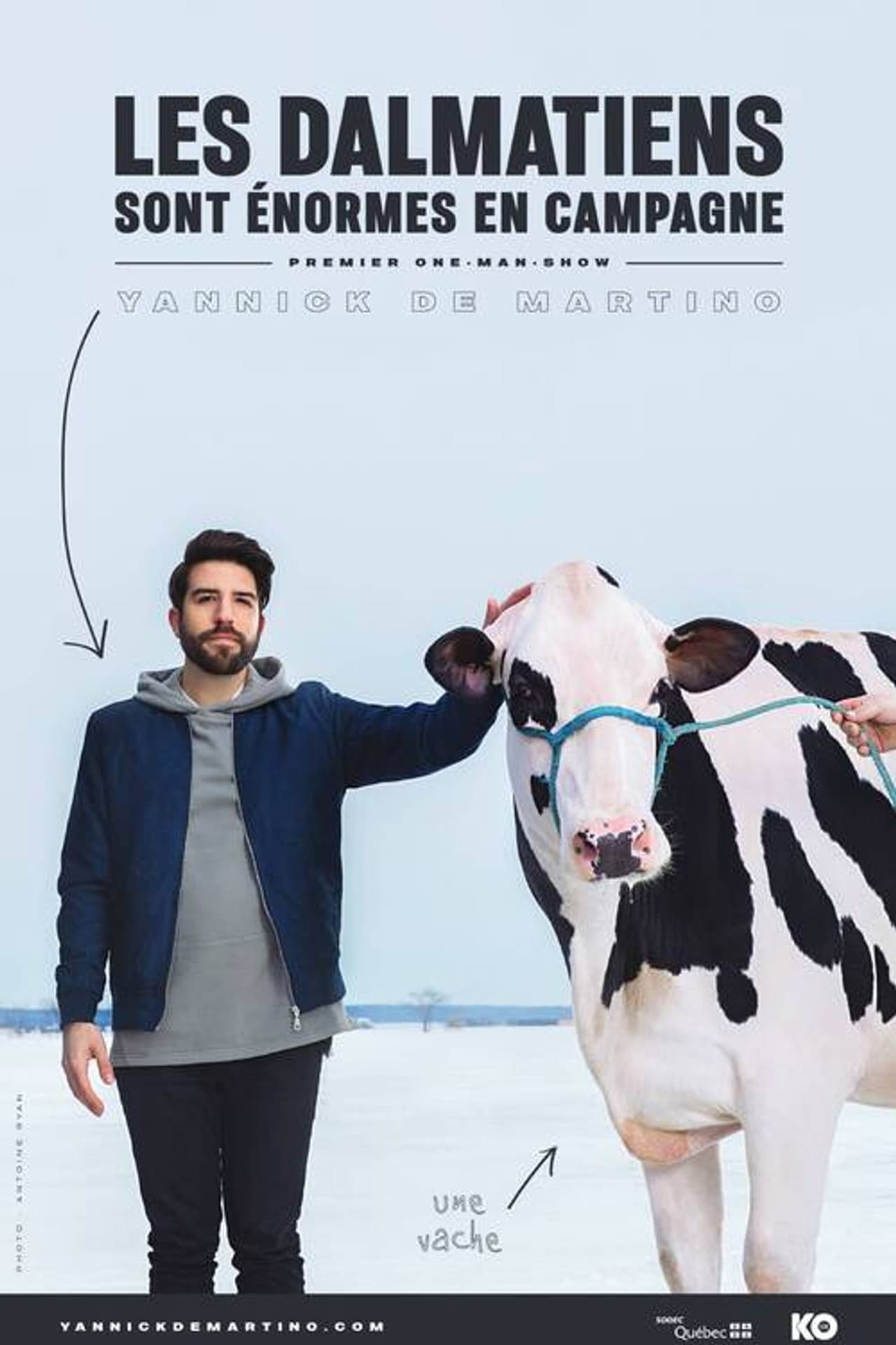 Yannick De Martino: Les dalmatiens sont énormes en campagne preview 1