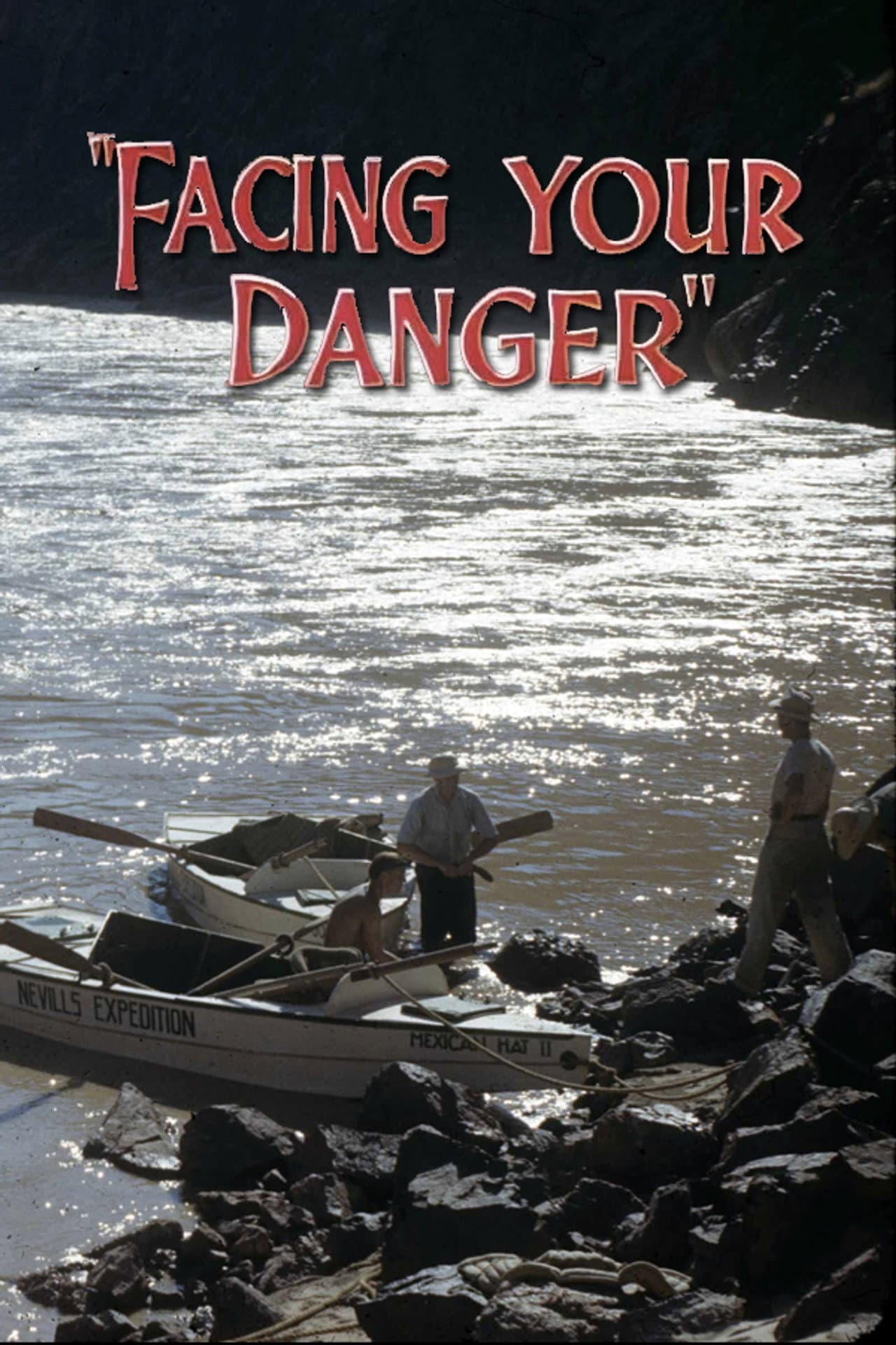 Facing Your Danger preview 2