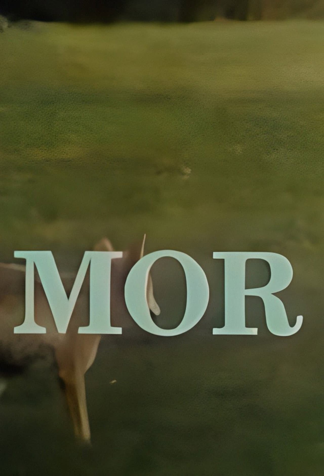 Mor preview 1