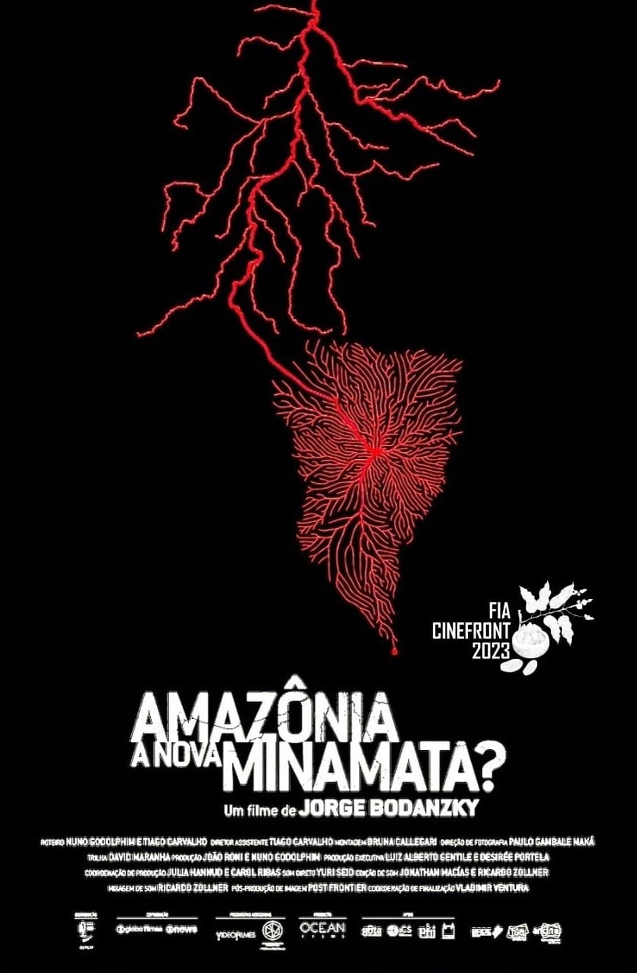 Amazônia, a Nova Minamata? preview 1