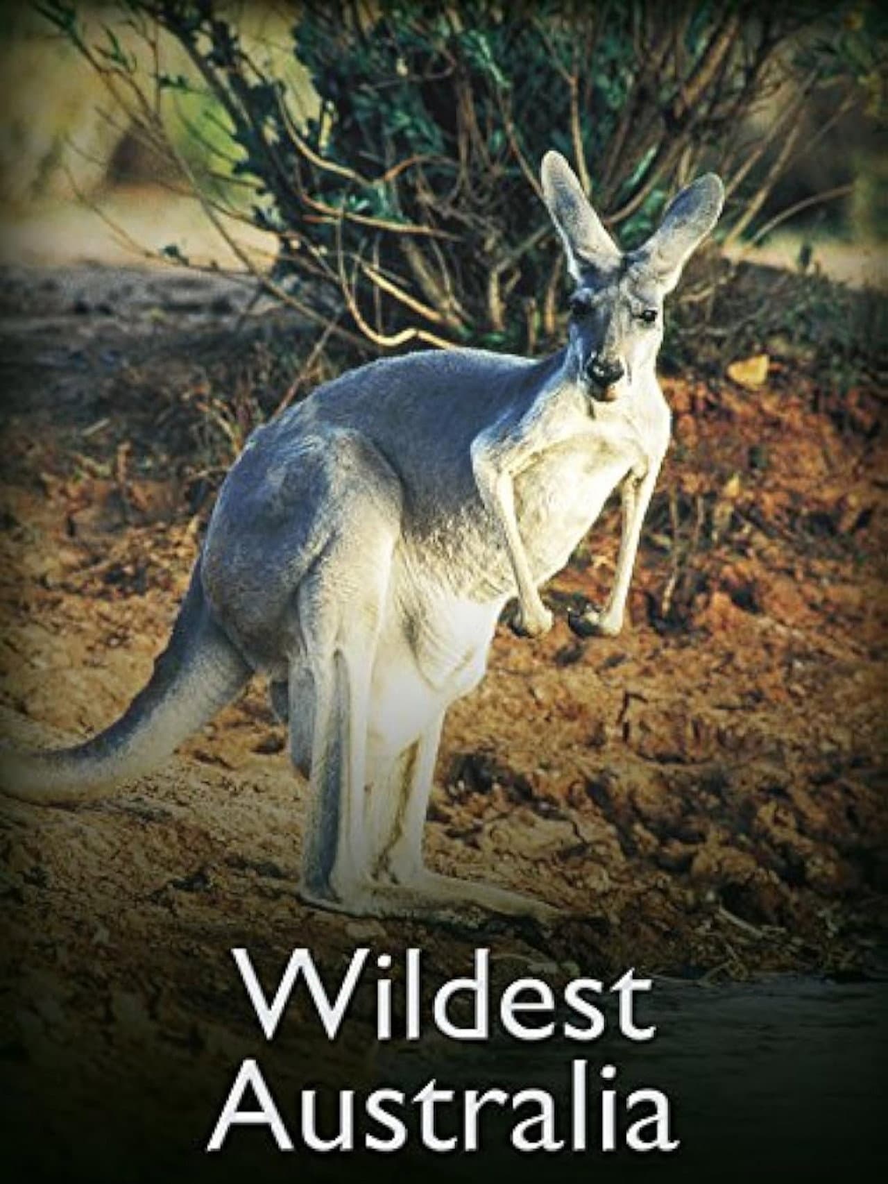 Wildest Australia preview 1