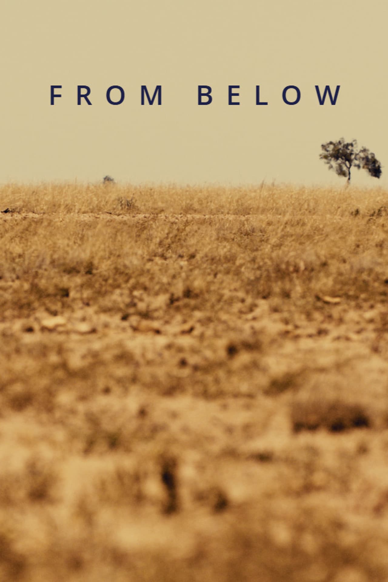 From Below preview 1