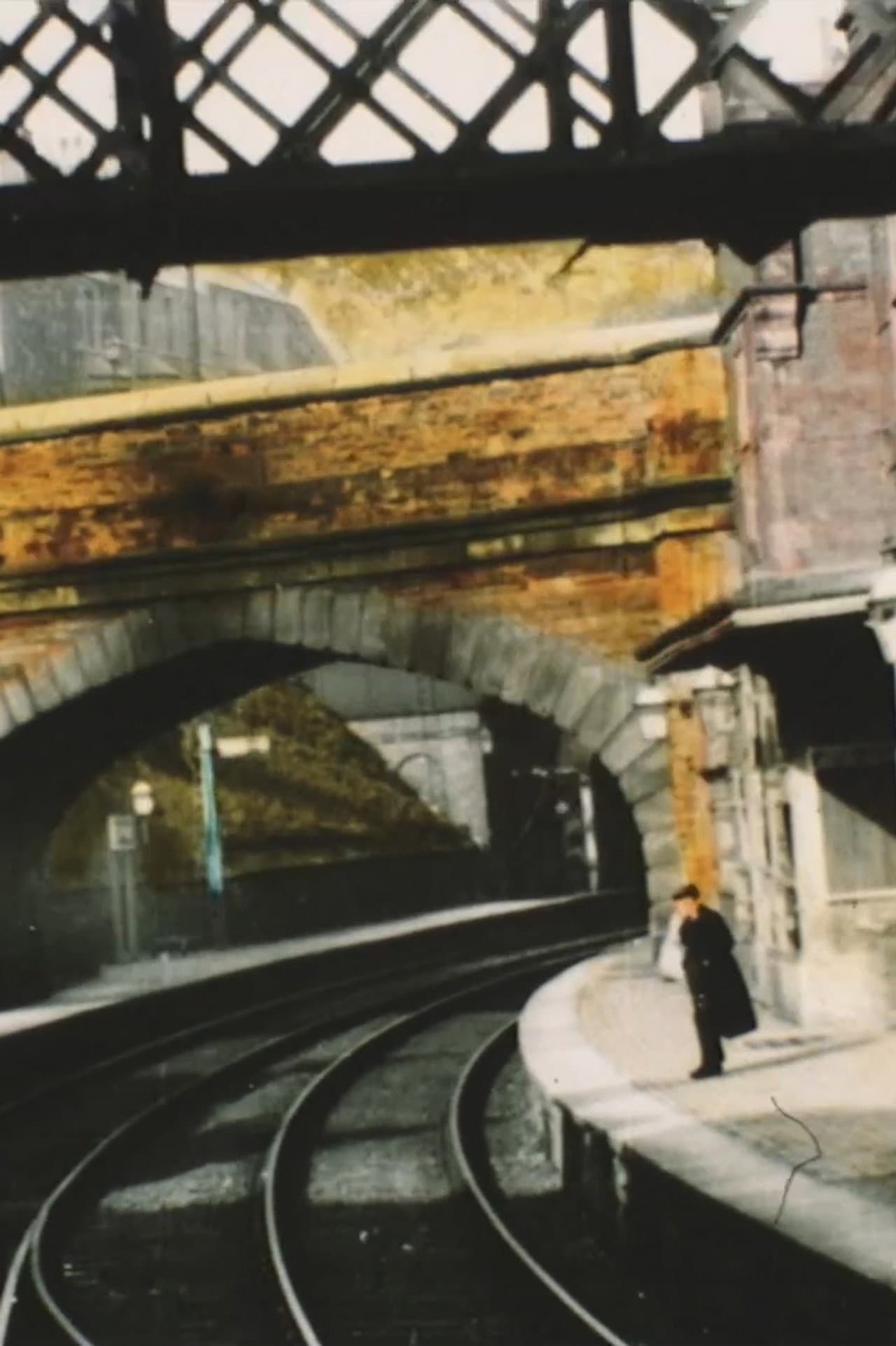 Panoramic View of Conway on the L. & N.W. Railway preview 1