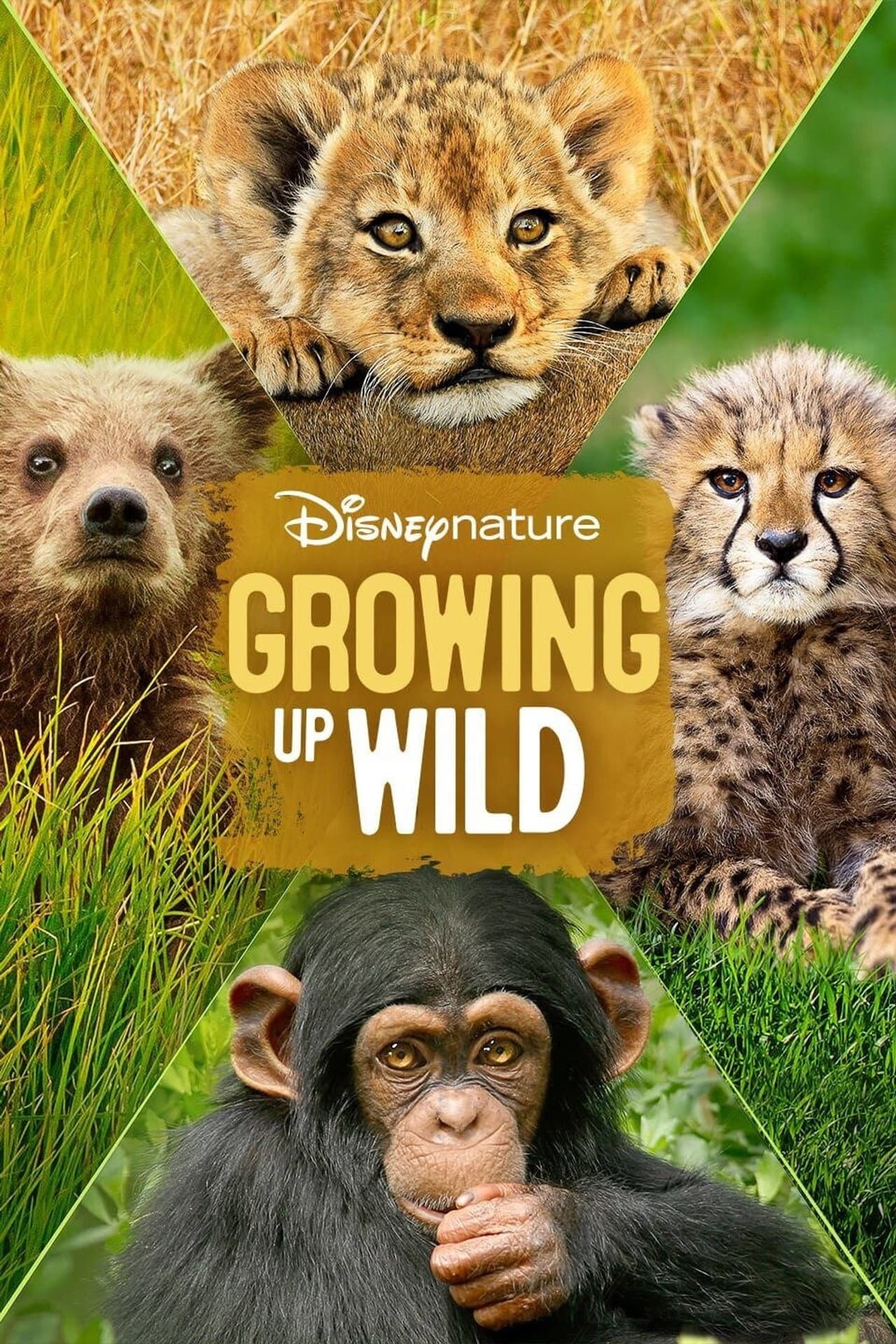 Growing Up Wild preview 2