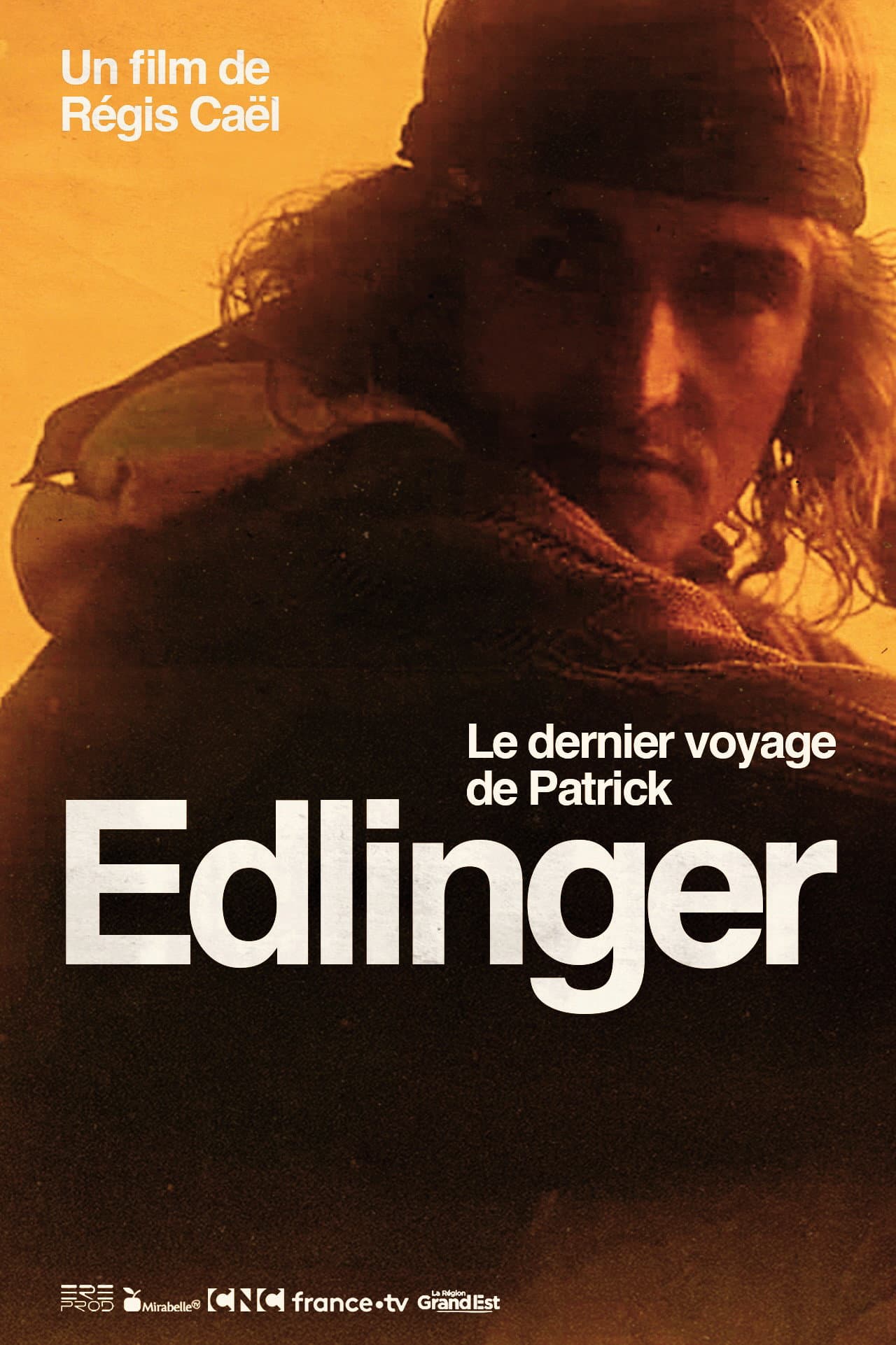 Le Dernier Voyage de Patrick Edlinger preview 2