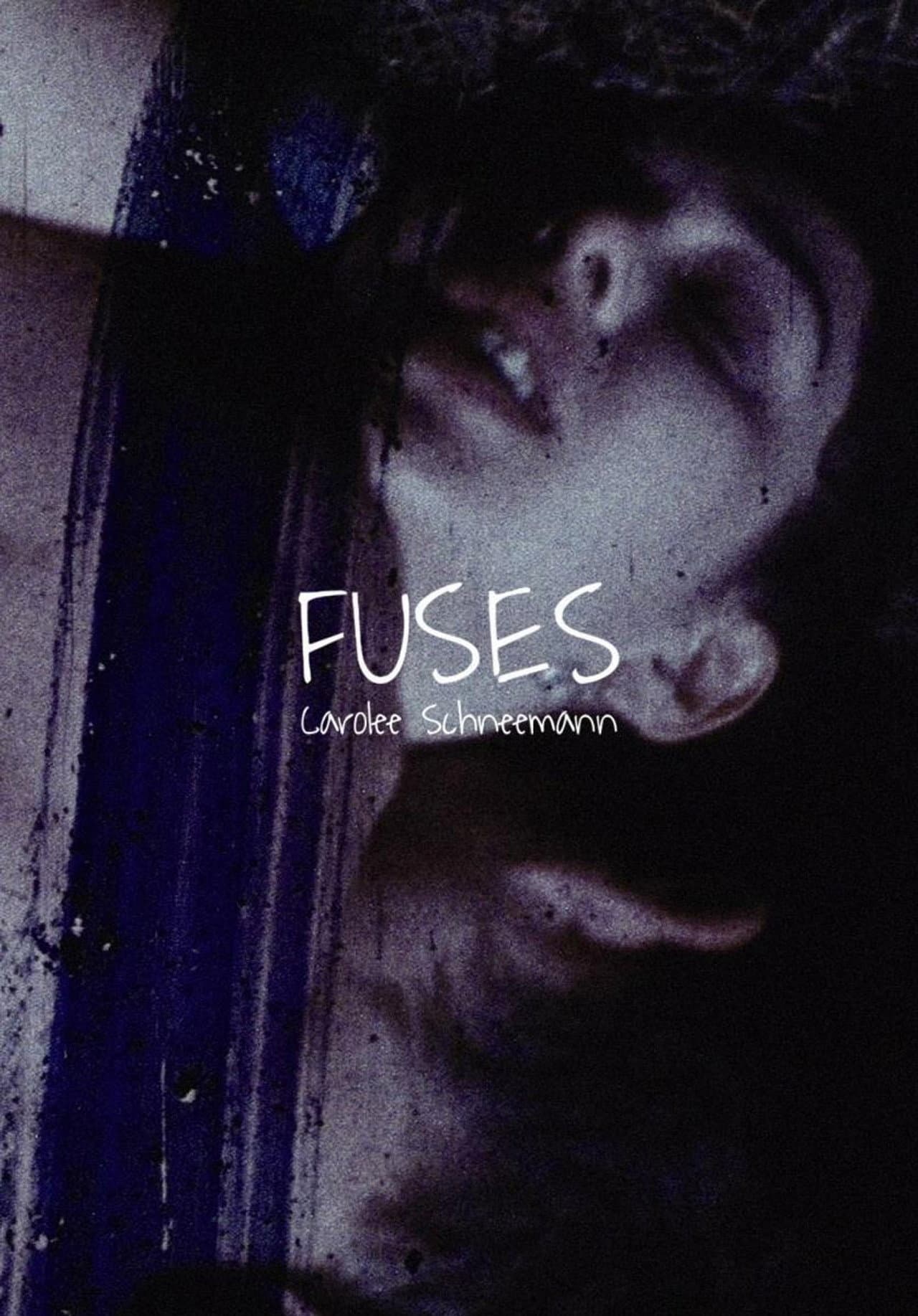 Fuses preview 2