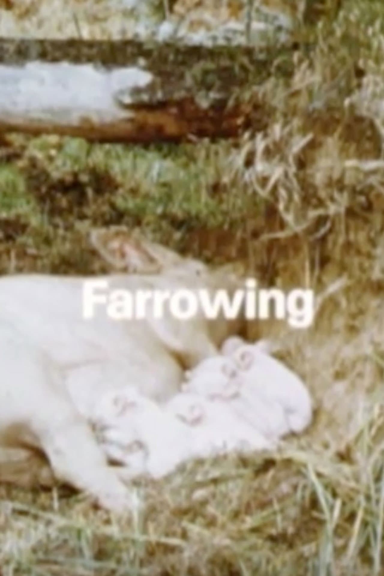 Behavior Of Domestic-Pigs In A Semi-Natural Pig-Park preview 1