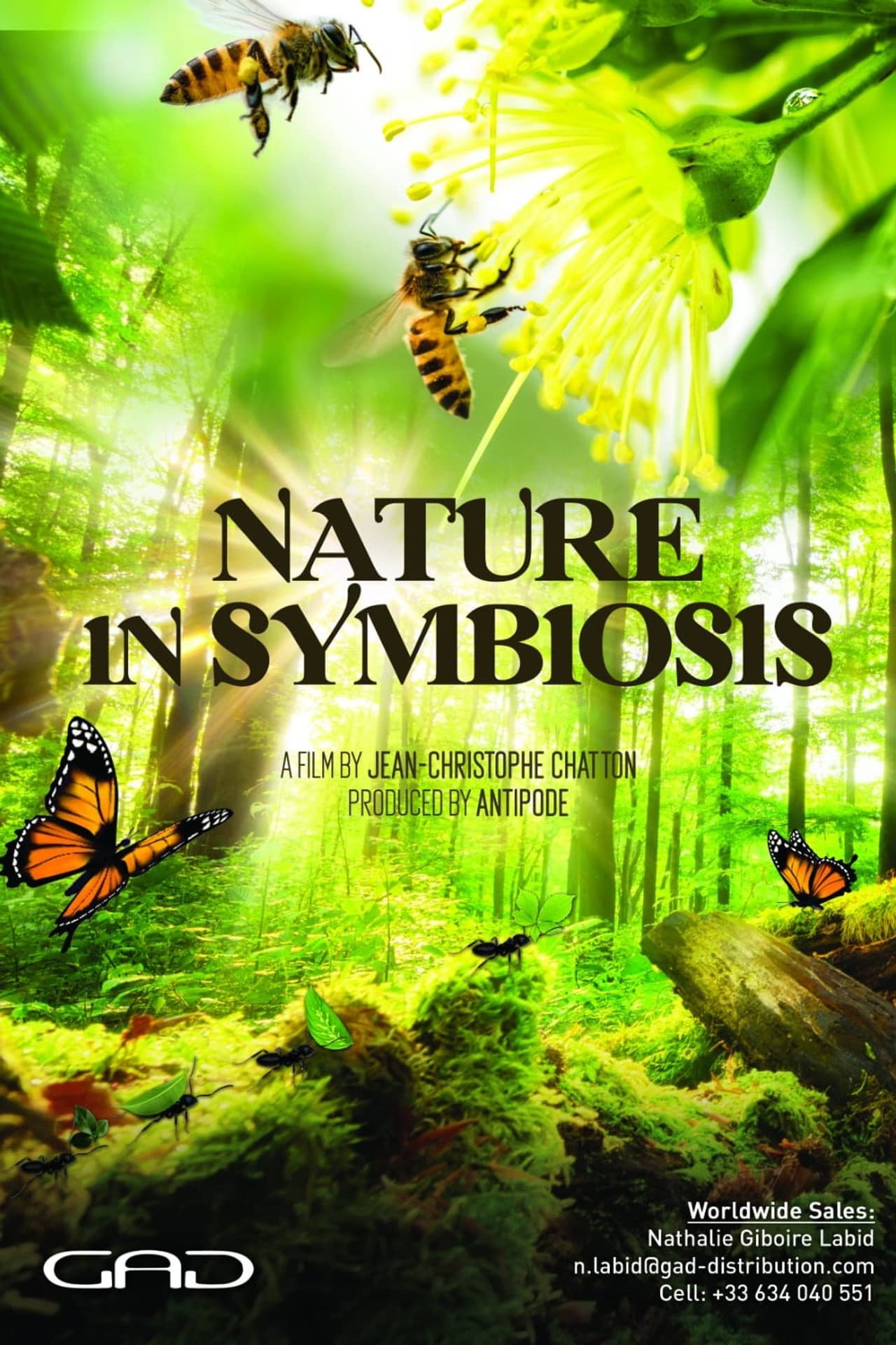 Nature in Symbiosis preview 1