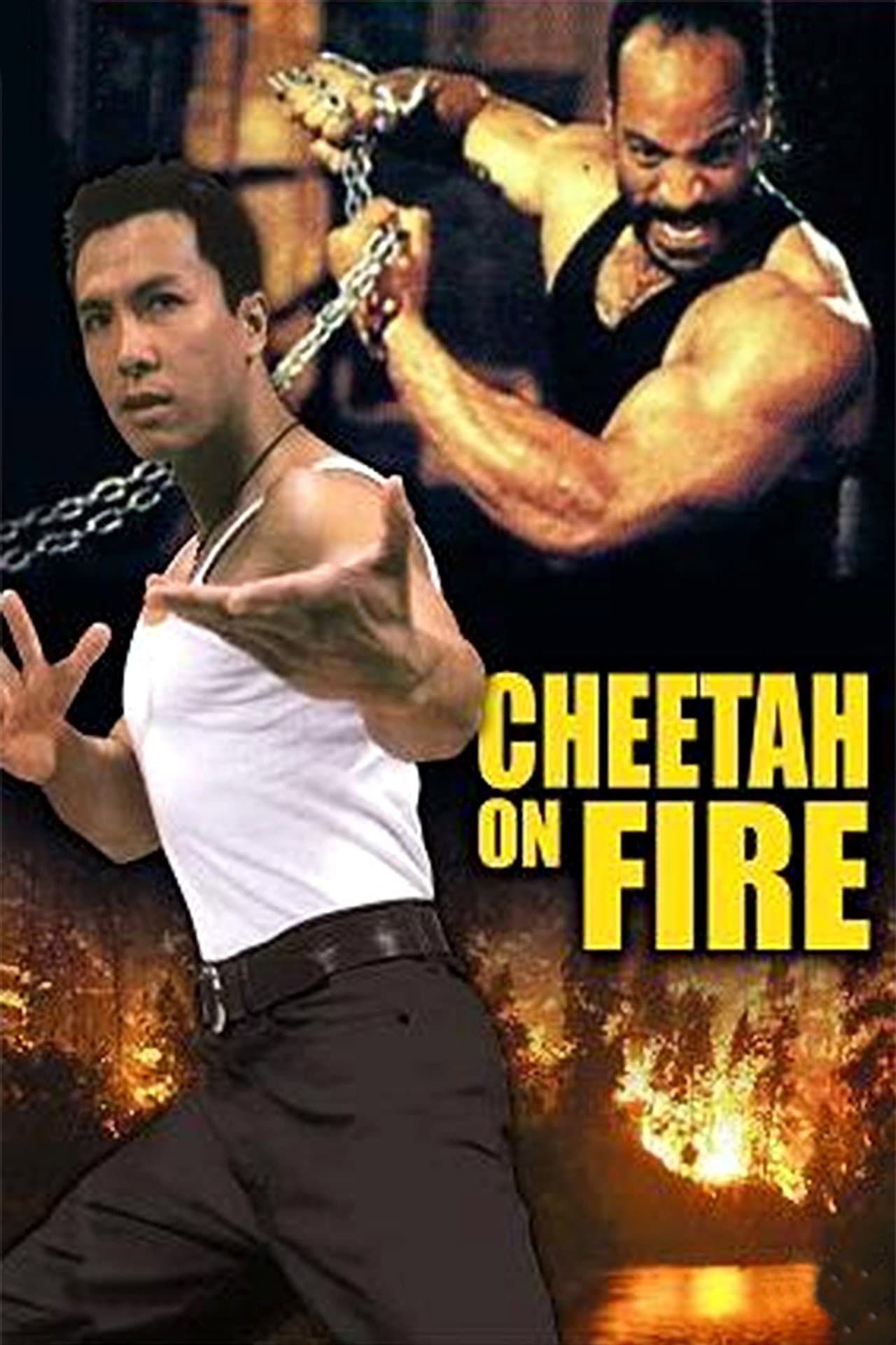 Cheetah on Fire preview 2