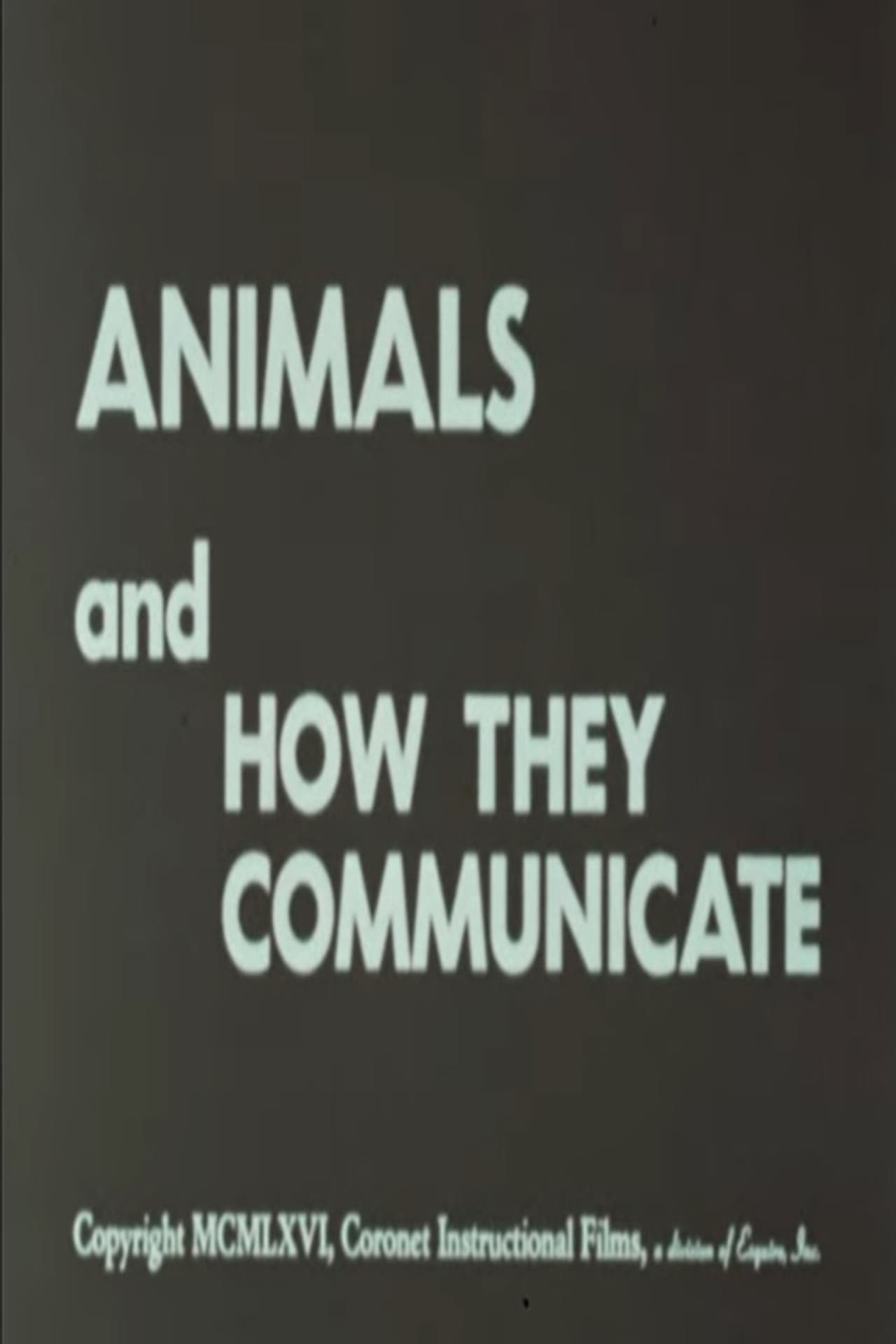 Animals and How They Communicate preview 2