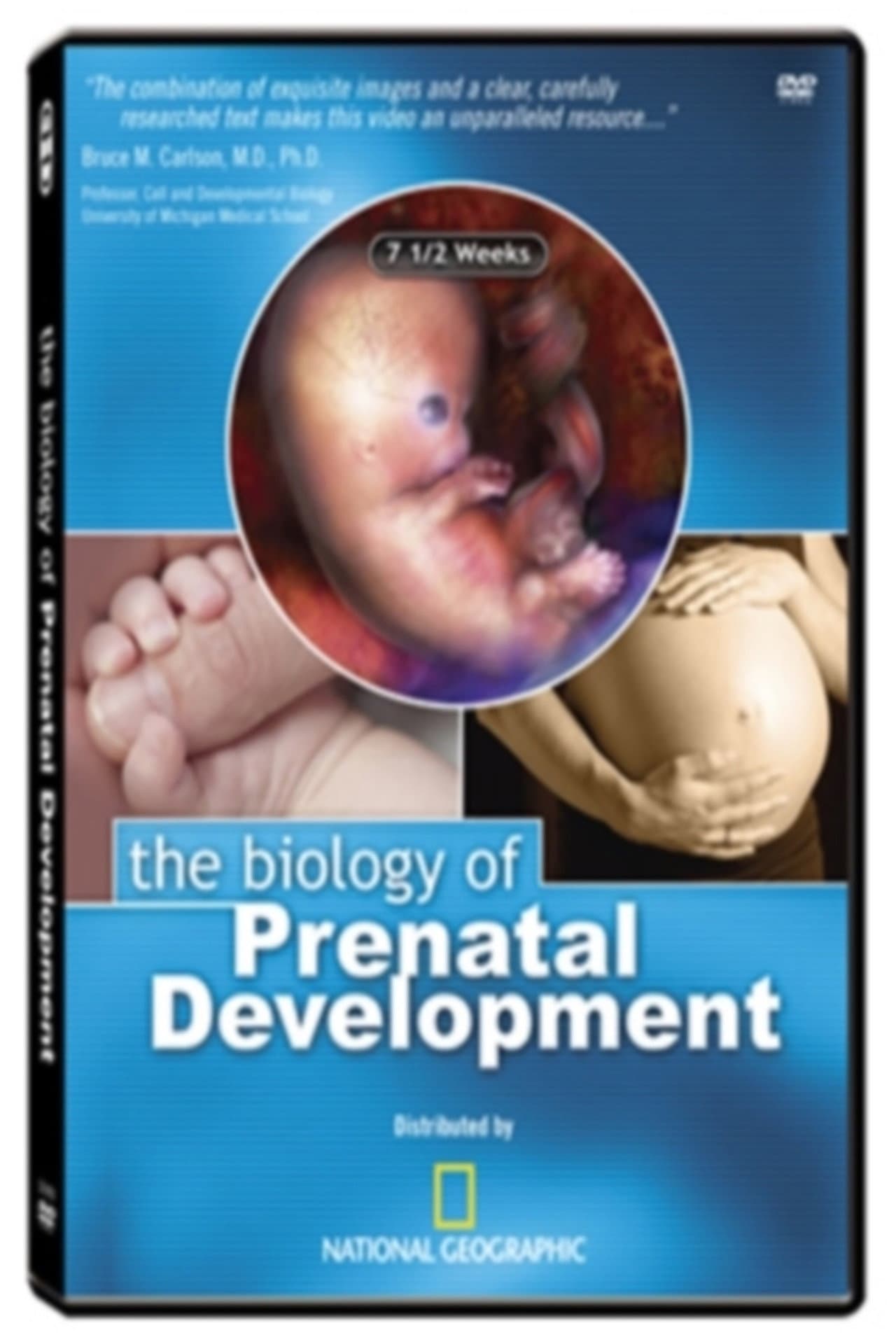 The Biology of Prenatal Development preview 1