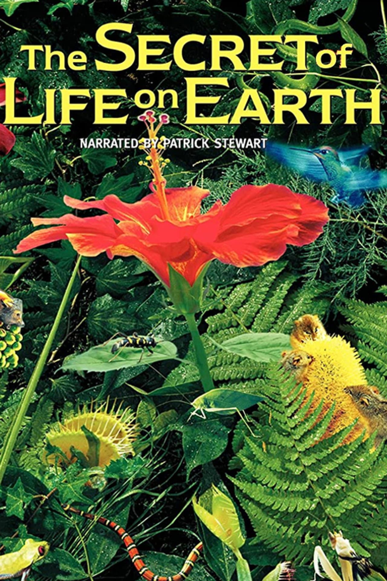 The Secret of Life on Earth preview 1