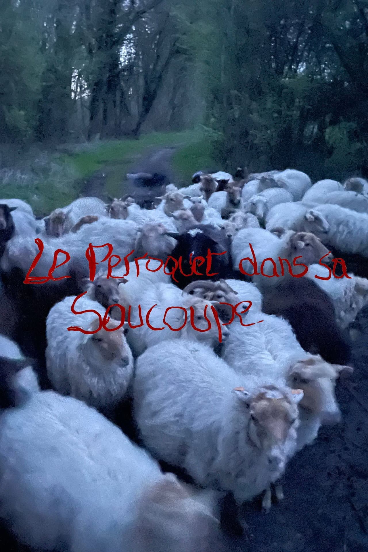 Le Perroquet dans sa Soucoupe (Short Version) preview 2