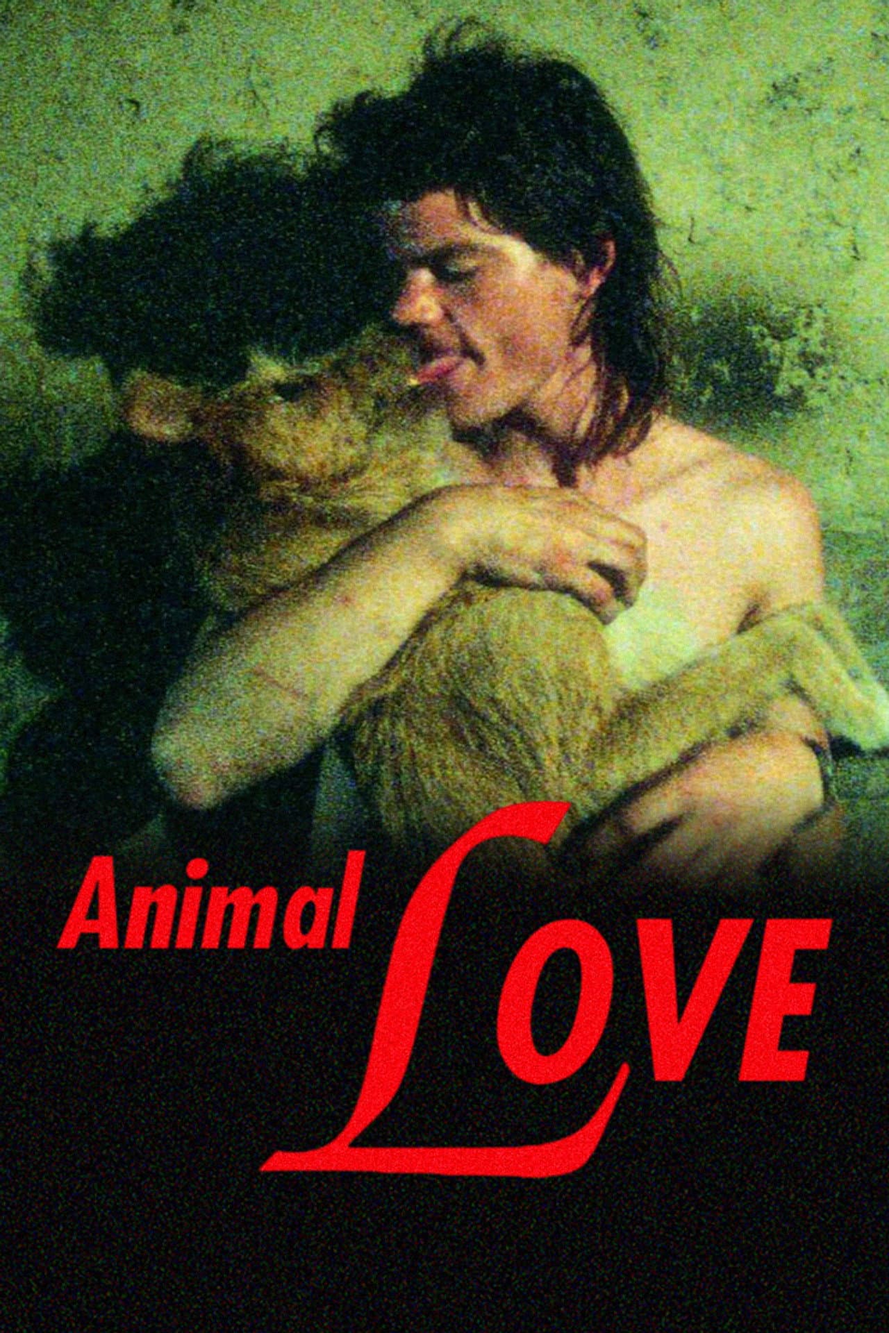 Animal Love preview 2