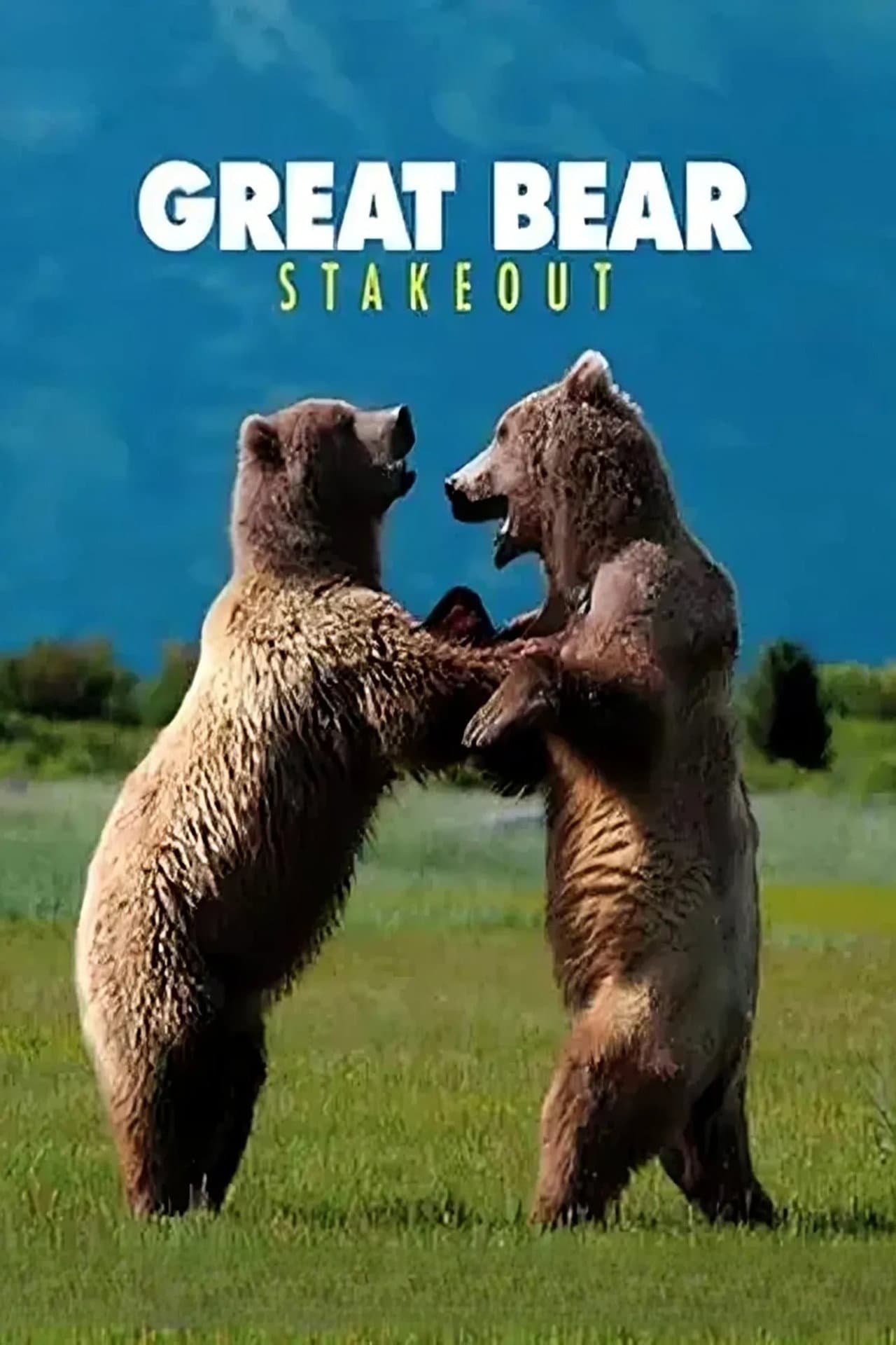 Great Bear Stakeout preview 2