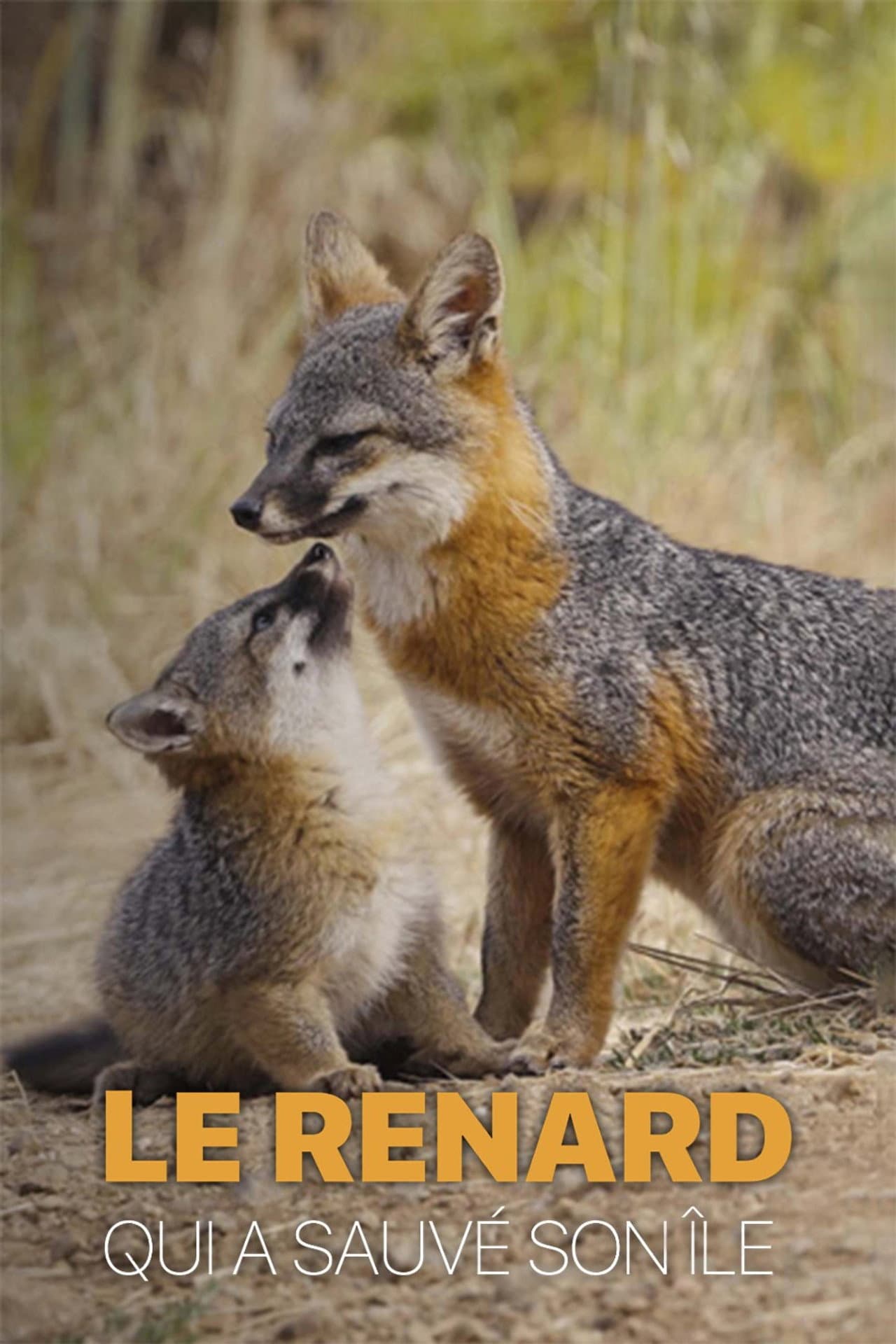 Le renard qui a sauvé son île preview 2
