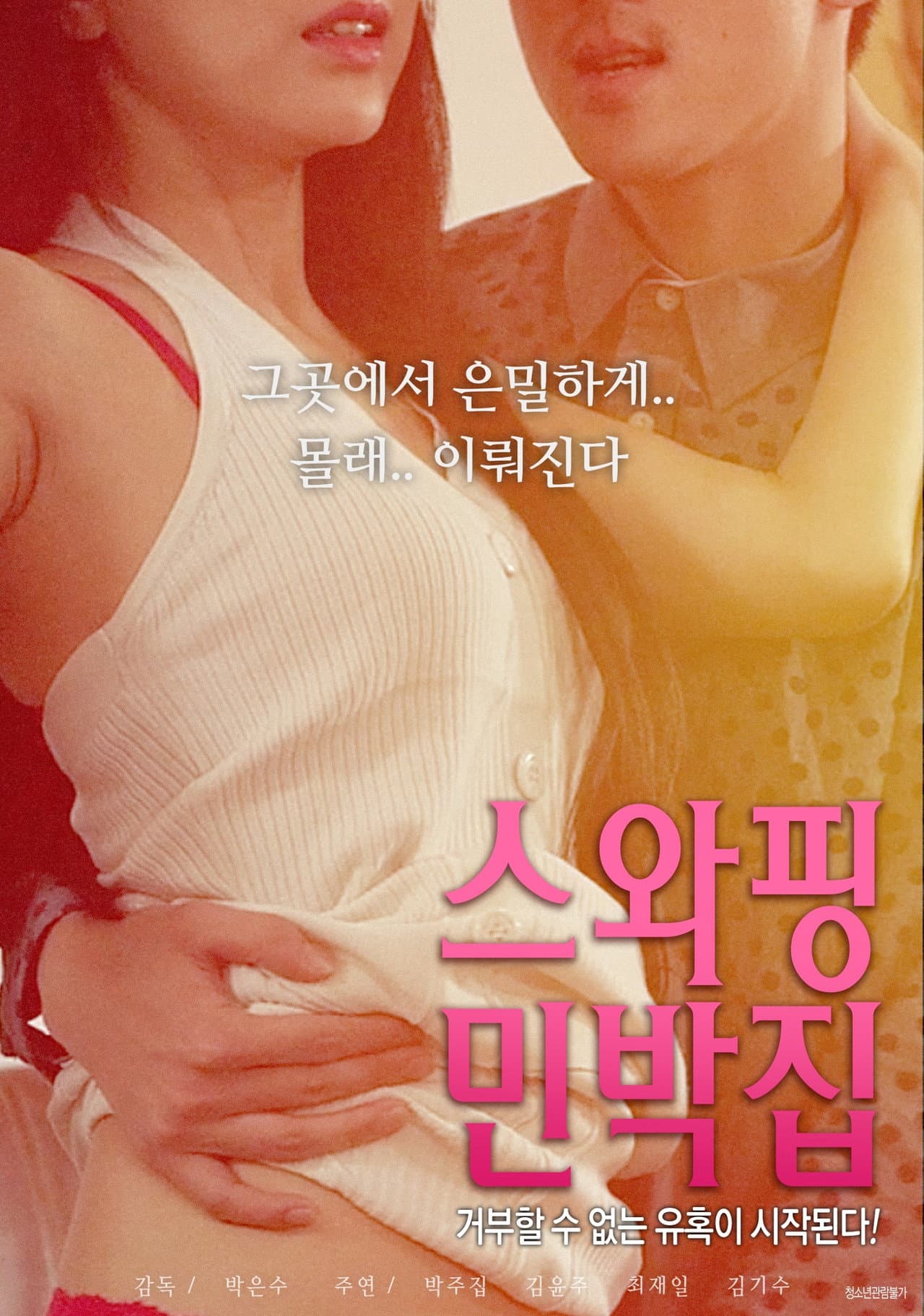 Swapping Guest House preview 2