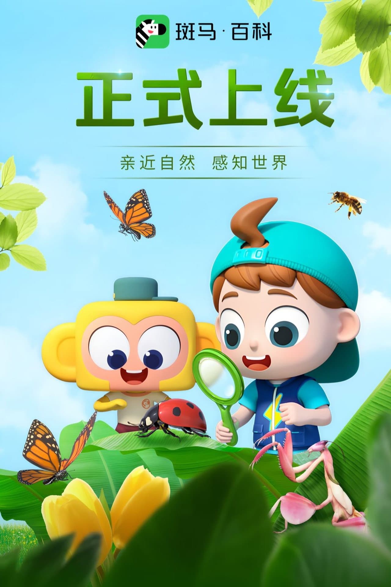 斑马百科2025 preview 2