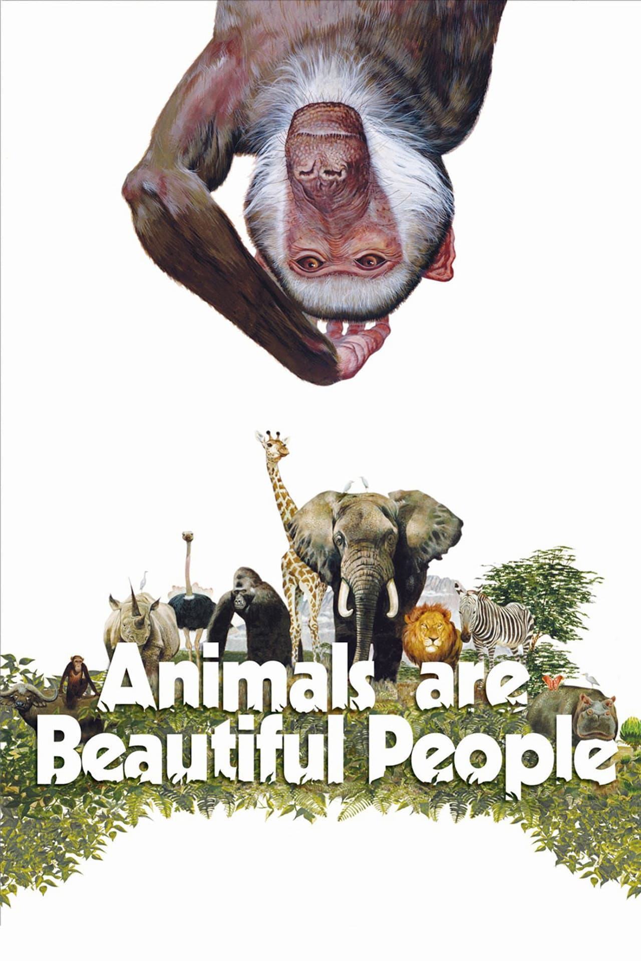 Animals Are Beautiful People preview 2