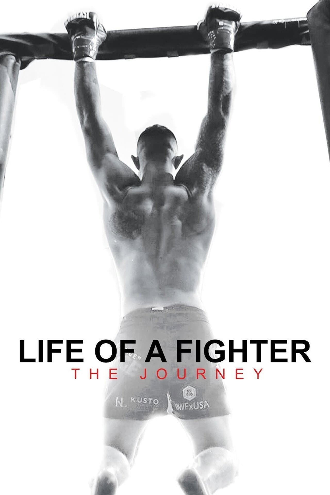 Life of a Fighter: The Journey preview 2