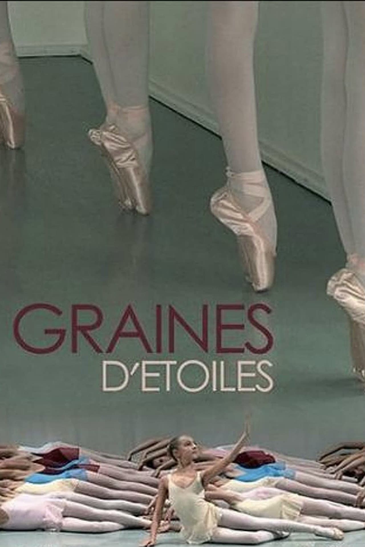 Graines d'étoiles preview 2