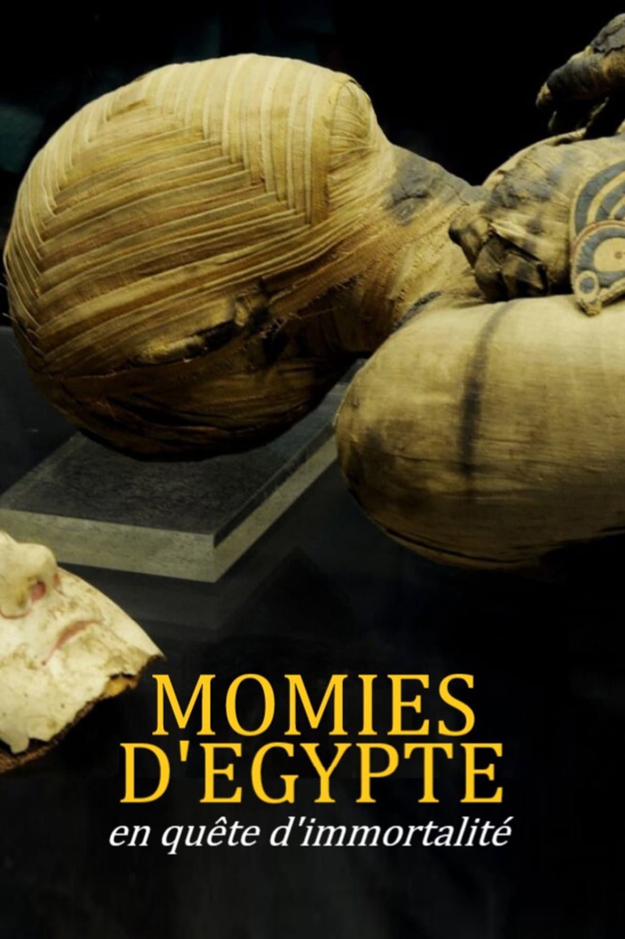 Momies d'Égypte, en quête d'immortalité preview 2